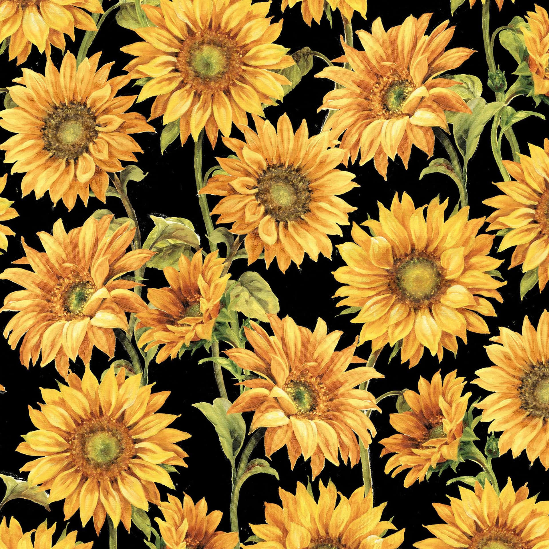 Sunflowers 桌布 壁紙 — 鮮豔的向日葵，帶有綠色莖和葉，在純黑色背景上密集綻放，形成重複圖案。
