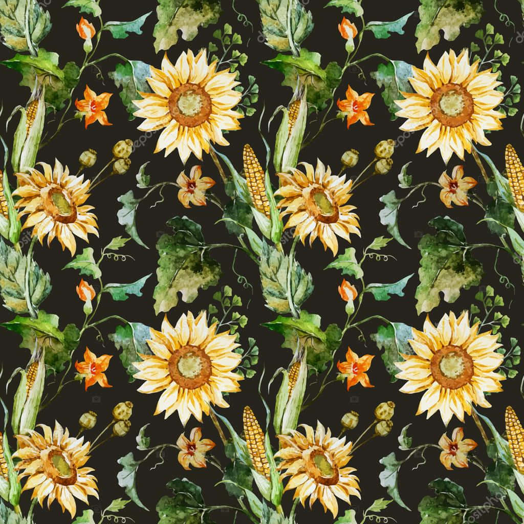 Sunflowers 桌布 壁紙 — 鮮豔的向日葵和玉米莖在深色背景上以水彩植物圖案盛開。