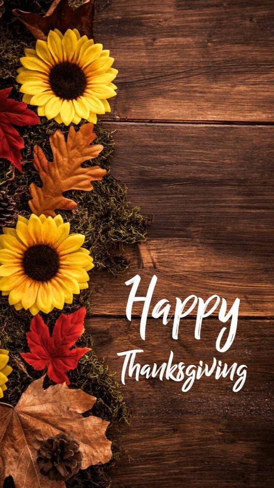 Cute Thanksgiving 桌布 壁紙 — 鮮豔的向日葵和秋葉裝飾著質樸的木質表面，上面有白色的「Happy Thanksgiving」字樣。