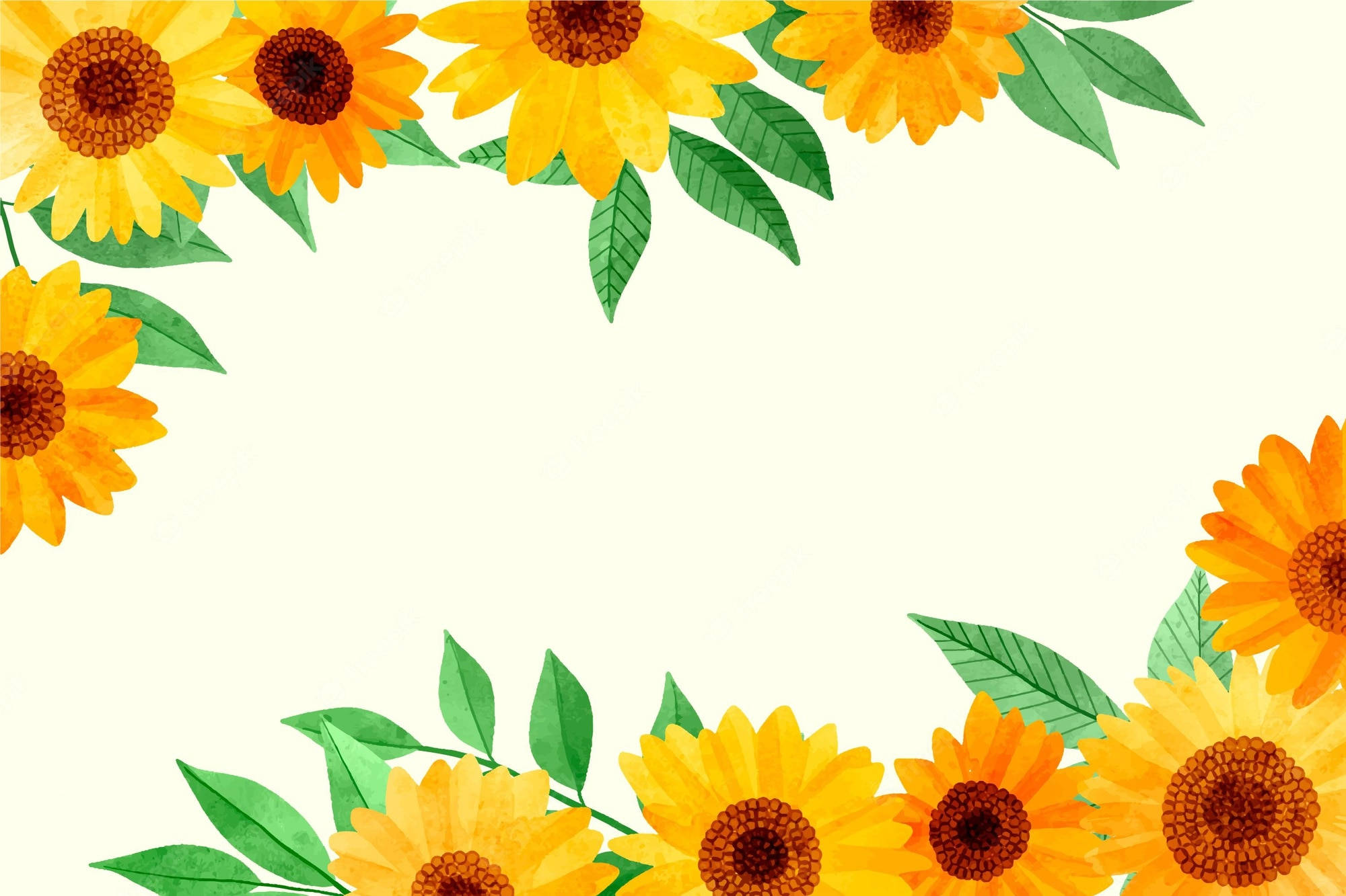 Sunflowers And Roses 桌布 壁紙 — 鮮豔的向日葵和綠葉在柔和的奶油色背景上形成一個歡快的角落邊框。