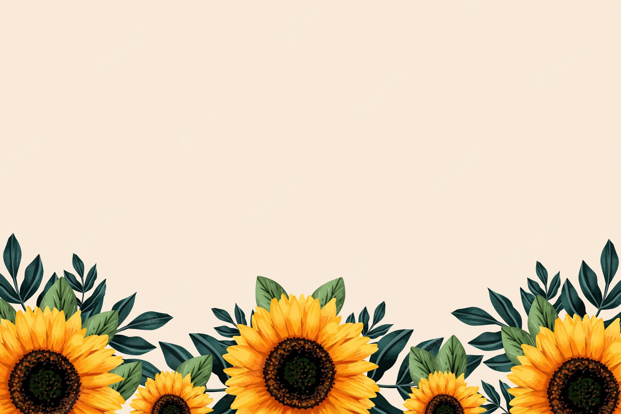 Sunflowers And Roses 桌布 壁紙 — 鮮豔的向日葵和茂盛的綠葉在柔和的米色背景上形成歡快的邊框。