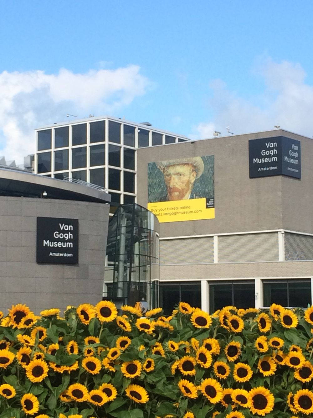 Museum 桌布 壁紙 — 鮮豔的向日葵在現代梵谷博物館大樓前盛開，天空湛藍，雲朵稀疏。