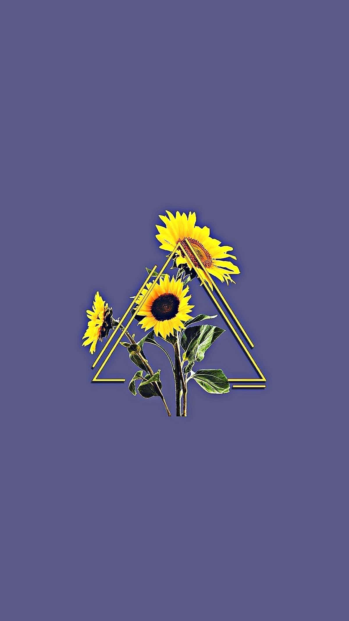 Sunflower Yellow Tumblr Aesthetic 桌布 壁紙 — 鮮豔的向日葵被金色三角形框住，背景為深紫色。