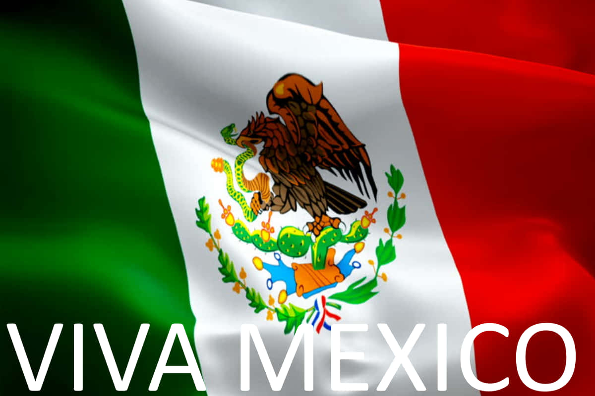 Viva Mexico 桌布 壁紙 — 鮮豔的墨西哥國旗自豪地飄揚，老鷹在仙人掌上吞噬蛇，粗體文字寫著VIVA MEXICO。