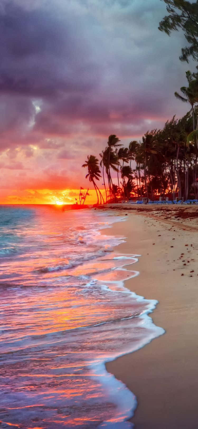 Sunset Beach 桌布 壁紙 — 鮮豔的夕陽將海洋和天空染成火熱的橙色和紫色，海浪拍打著棕櫚樹成蔭的沙灘。