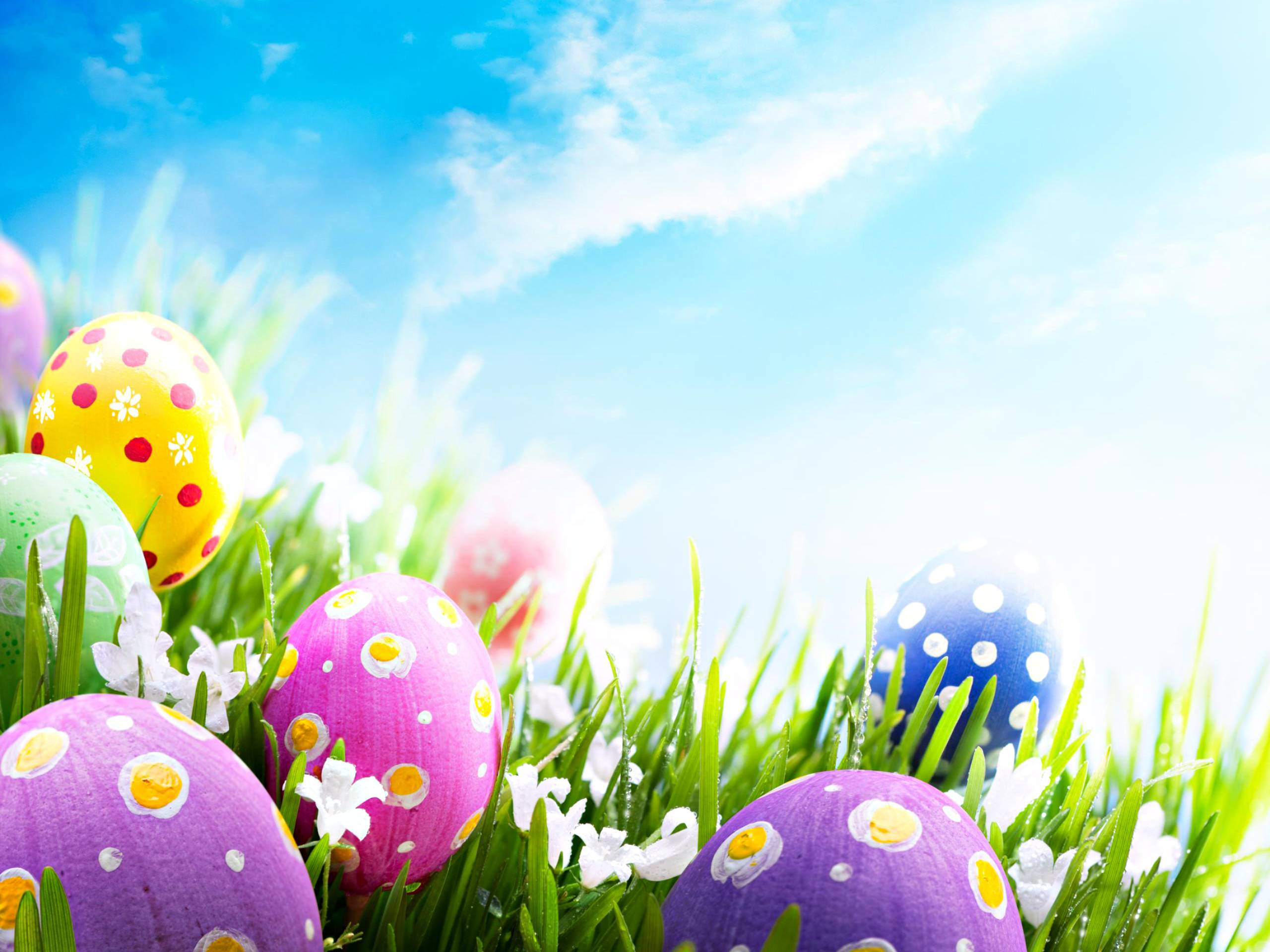 Happy Easter 桌布 壁紙 — 鮮豔的彩繪復活節蛋，藏在茂密的綠草中，上方是晴朗的藍天和蓬鬆的白雲。