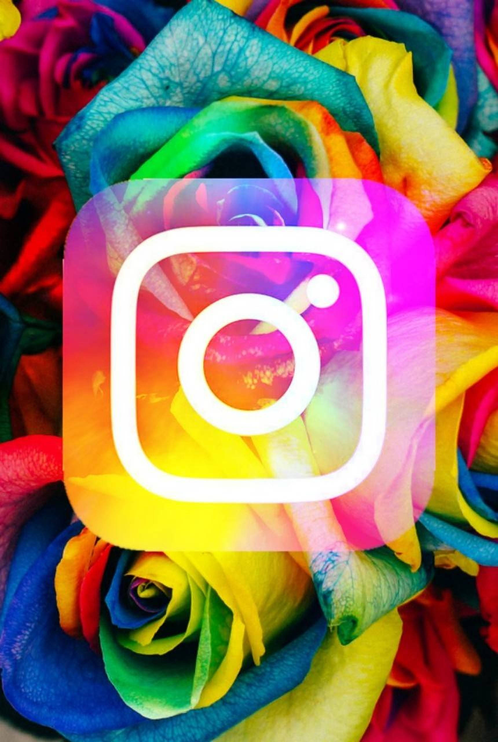 Instagram 桌布 壁紙 — 鮮豔的彩虹玫瑰在發光的 Instagram 標誌後方綻放，形成色彩繽紛的數位桌布。