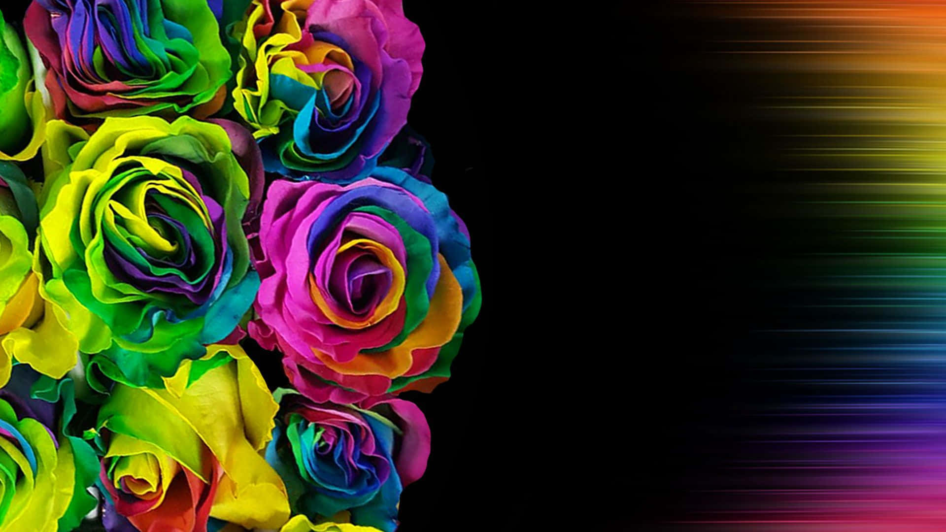 Psychedelic Flowers 桌布 壁紙 — 鮮豔的彩虹玫瑰簇在黑色背景上，右側有彩色漸變條紋。