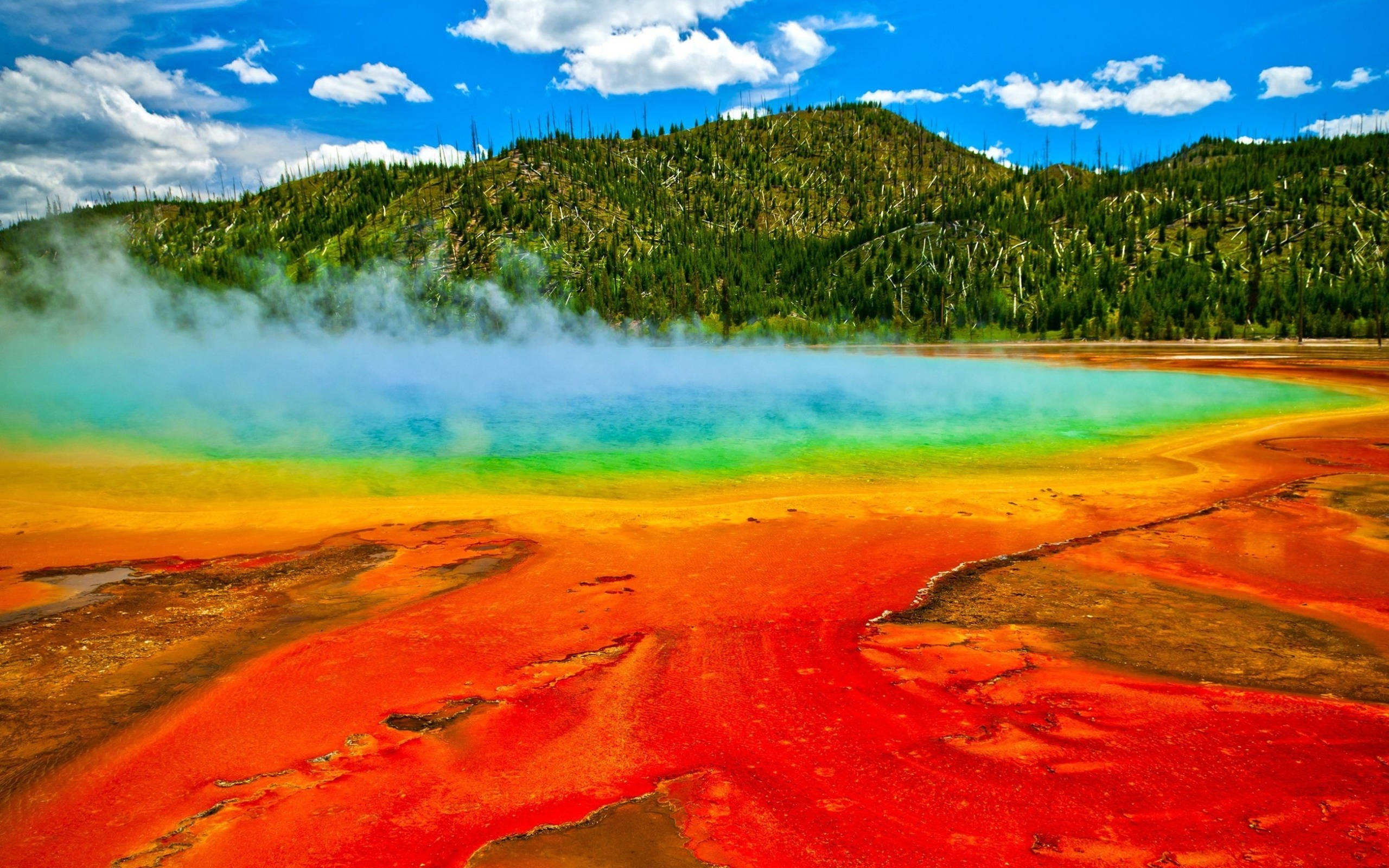 Yellowstone 桌布 壁紙 — 鮮豔的彩虹色溫泉在明亮的藍天下冒著蒸氣，背景有蓬鬆的雲朵和森林覆蓋的山丘。