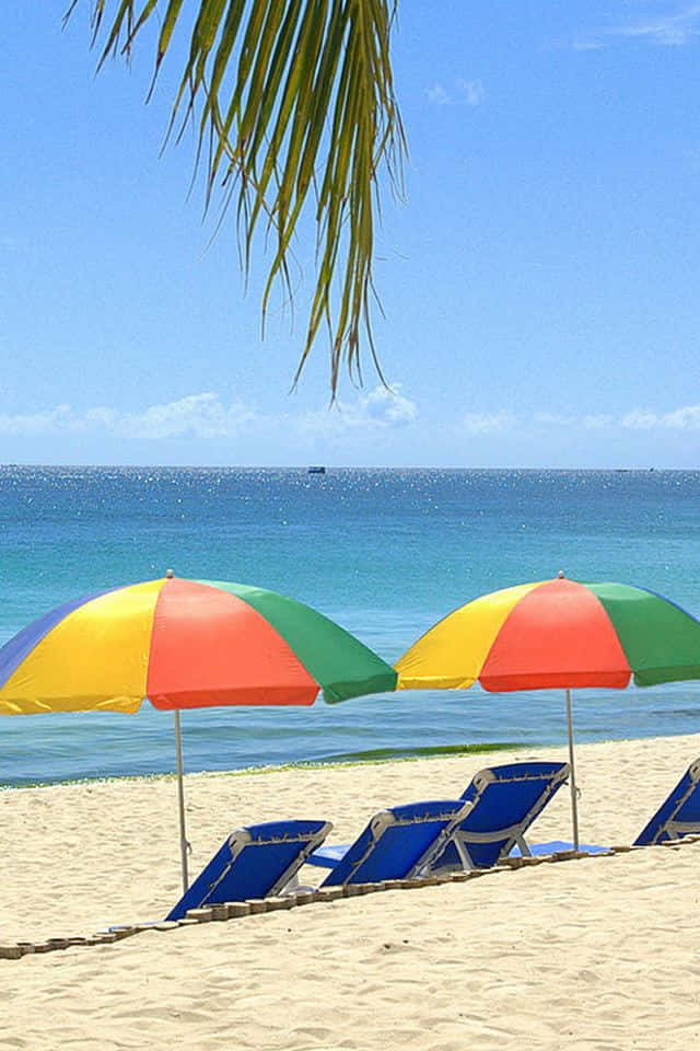 Beach Sunbed 桌布 壁紙 — 鮮豔的彩虹色遮陽傘為陽光普照的沙灘上的藍色躺椅遮蔭，頭頂有碧綠的海洋和棕櫚葉。