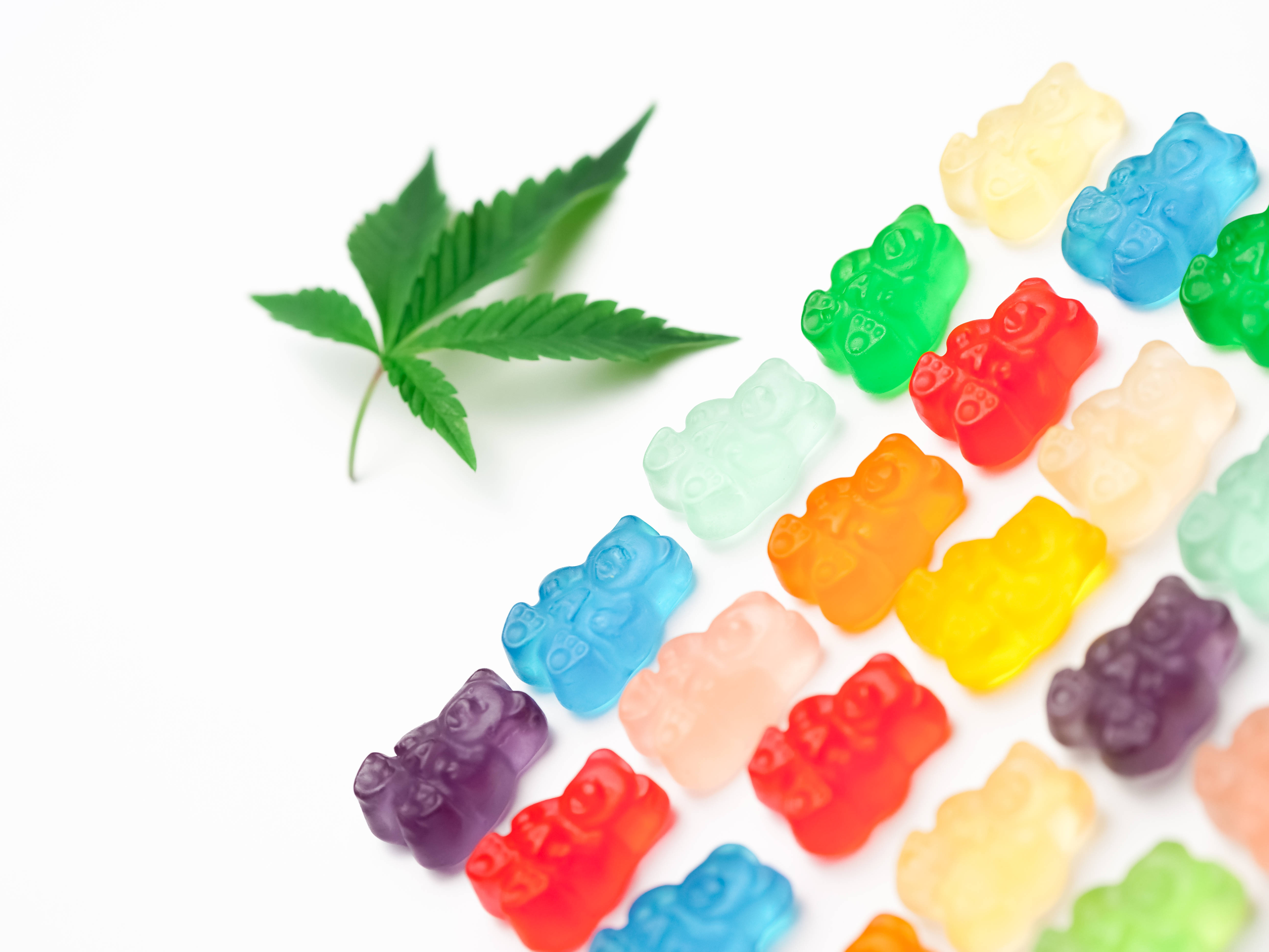 chewy 桌布 壁紙 — 鮮豔的彩虹軟糖熊對角排列在一個新鮮的綠色大麻葉旁邊，純白色背景。