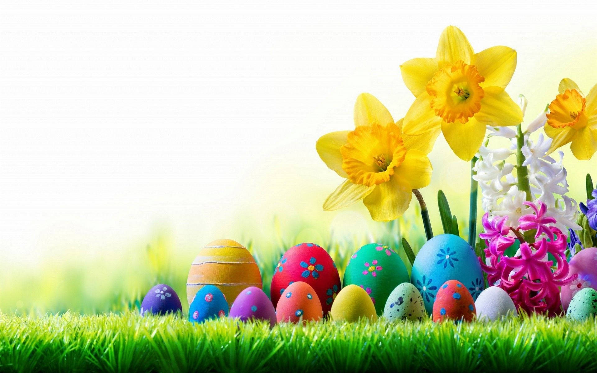 Easter 桌布 壁紙 — 鮮豔的復活節彩蛋和盛開的水仙花和風信子，依偎在茂密的綠草中，沐浴在明亮的陽光下。
