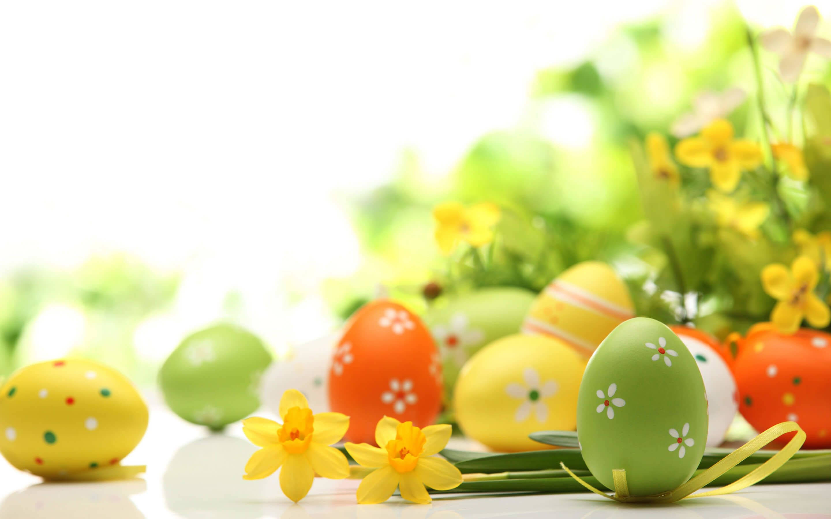 Happy Easter 桌布 壁紙 — 鮮豔的復活節彩蛋和黃色水仙花排列在明亮的白色表面上，背景有柔和的綠色葉子。