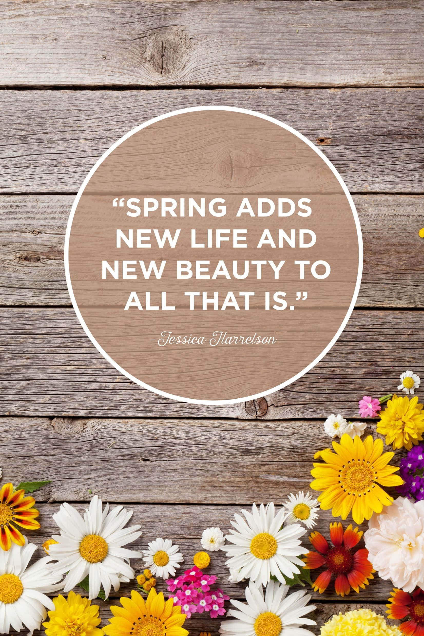 Spring Inspirational 桌布 壁紙 — 鮮豔的春天花朵以黃色、粉紅色和白色盛開，沿著風化的木質表面，在圓形引文下方。