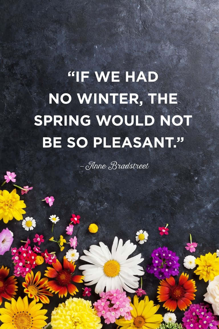 Spring Inspirational 桌布 壁紙 — 鮮豔的春天花朵以黃色、粉紅色和紫色在深色紋理背景上綻放，並附有安妮·布拉德斯特里特的引言。