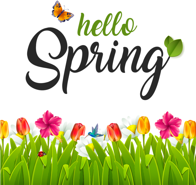 春天 桌布 壁紙 — 鮮豔的春天花朵和蝴蝶在黑色背景上的「hello Spring」文字下盛開。