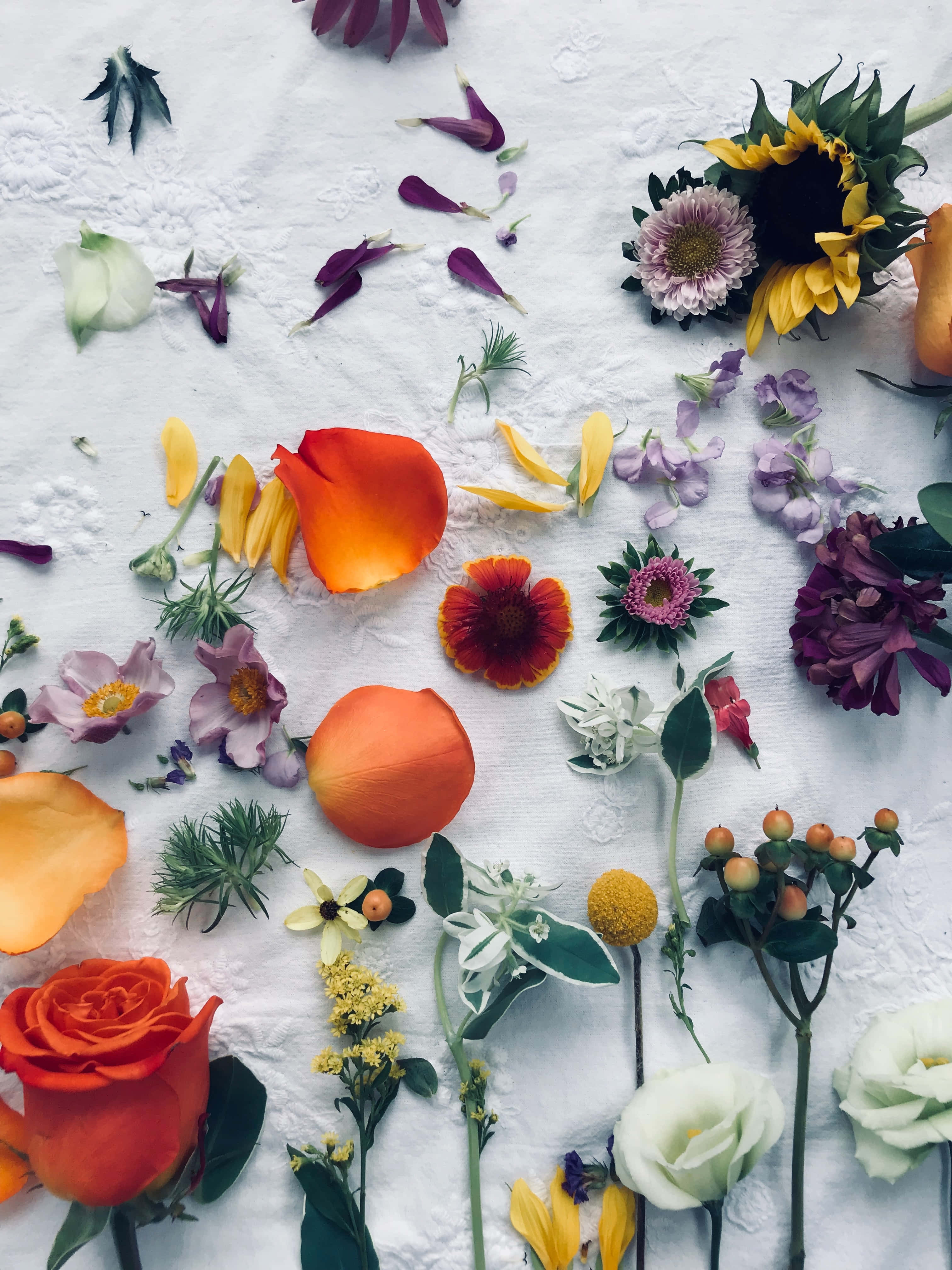 iPhone 桌布 壁紙 — 鮮豔的橙色、粉紅色和紫色花瓣和花蕾散落在有紋理的白色表面上，形成平面佈局。