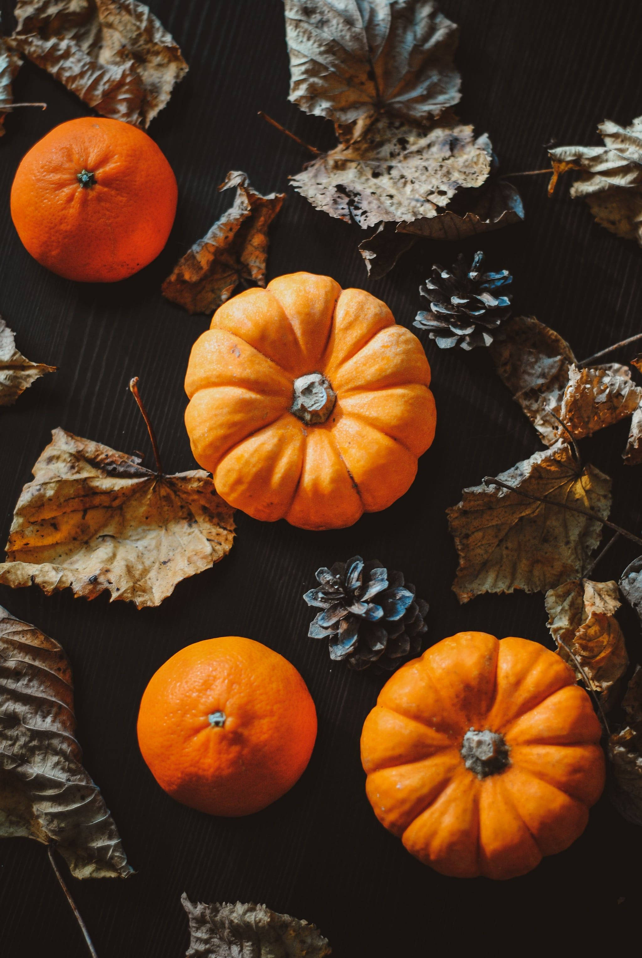 Pumpkin 桌布 壁紙 — 鮮豔的橙色南瓜和柑橘依偎在乾燥的秋葉和松果之間，置於深色木質表面上。