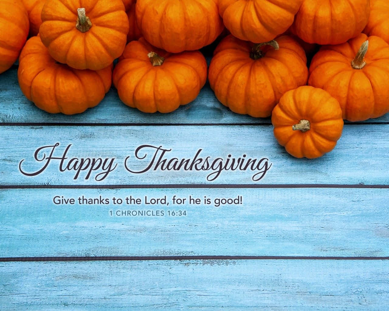 Happy Thanksgiving 桌布 壁紙 — 鮮豔的橙色南瓜排列在風化的藍色木質表面上，帶有優雅的草書文字慶祝感恩節。