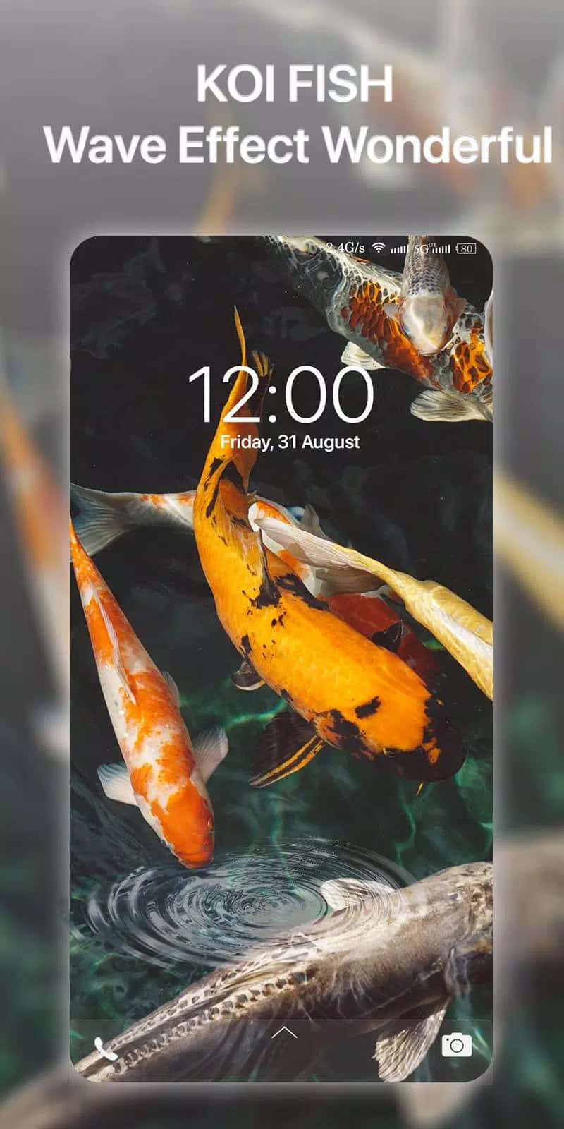 Live Koi Fish 桌布 壁紙 — 鮮豔的橙色和白色錦鯉在清澈的水中優雅地游動，水面有輕柔的漣漪，位於手機鎖定螢幕下方。