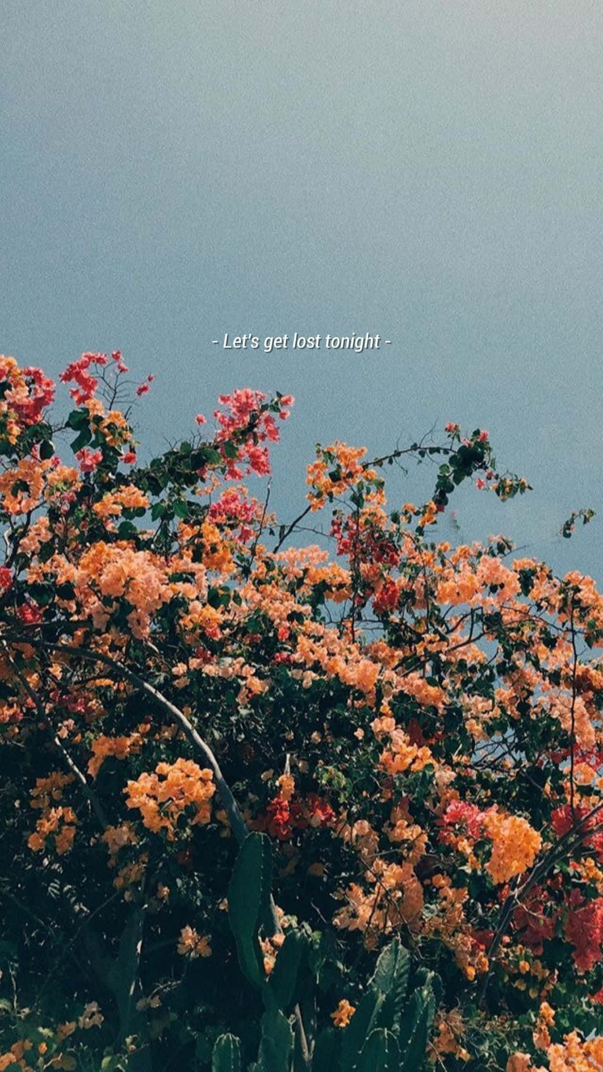 Cute Aesthetic Flower 桌布 壁紙 — 鮮豔的橙色和粉紅色九重葛花在柔和的藍天下層疊，帶有詩意的文字疊加。