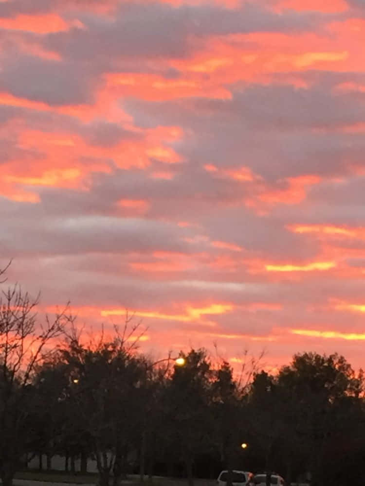 Sunset Aesthetic 桌布 壁紙 — 鮮豔的橙色和粉紅色雲彩在暮色天空中掠過，襯托出樹木和街燈的剪影。