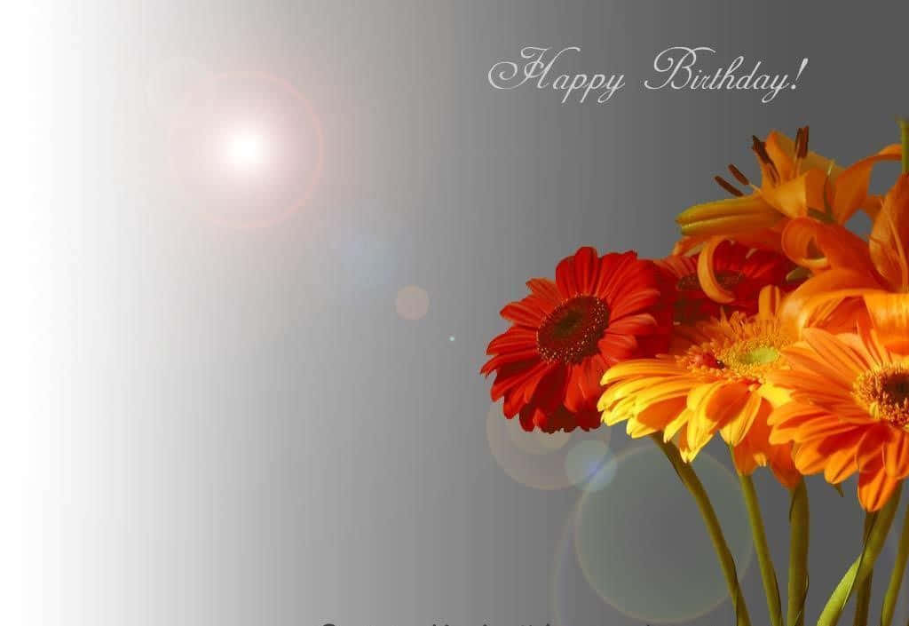 Birthday Message 桌布 壁紙 — 鮮豔的橙色和紅色非洲菊雛菊在柔和的漸變背景上綻放，帶有鏡頭光暈和「Happy Birthday!」文字。