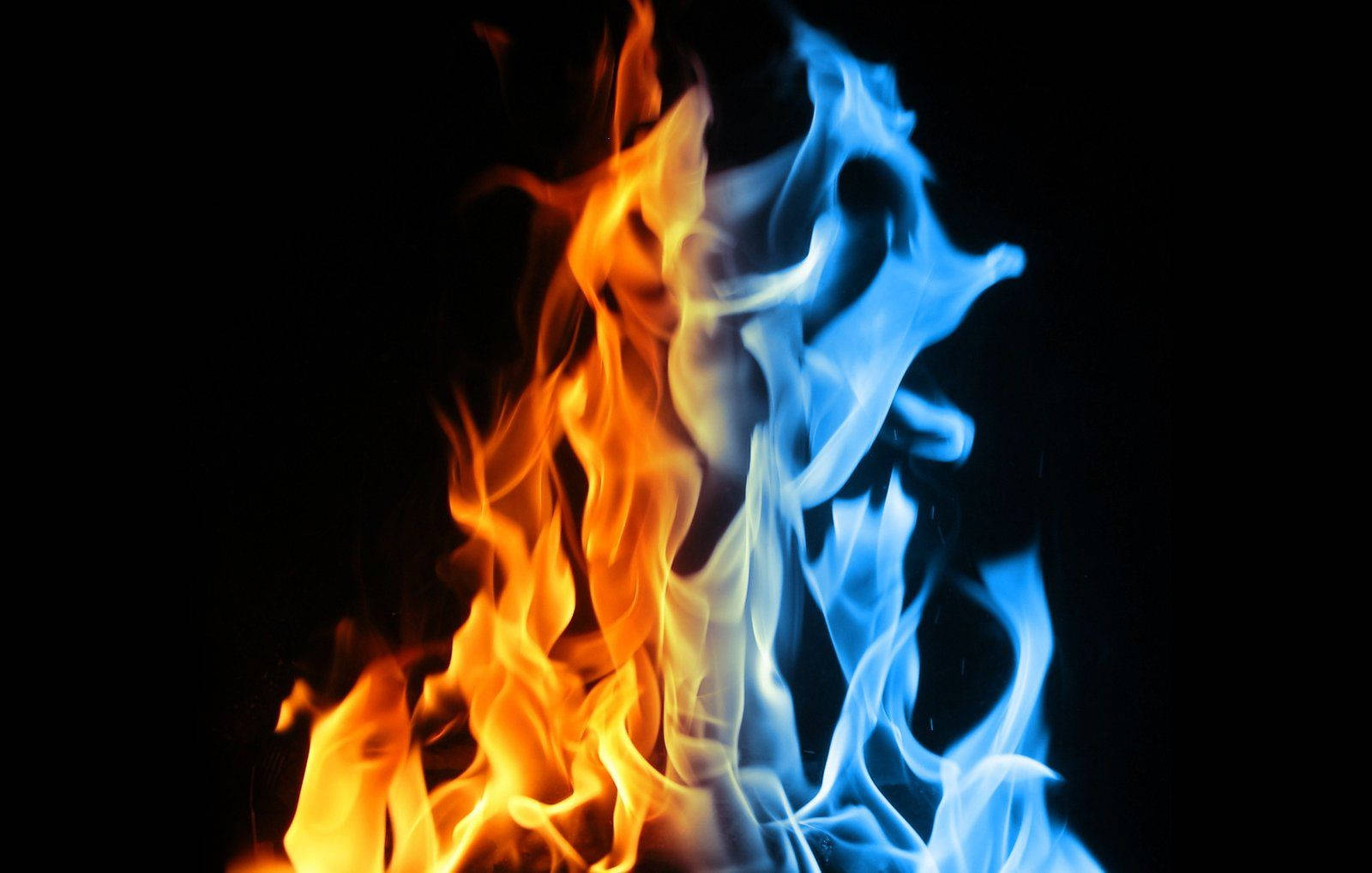 Fire And Ice 桌布 壁紙 — 鮮豔的橙色和藍色火焰在純黑色背景上動態舞動，形成鮮明的視覺對比。