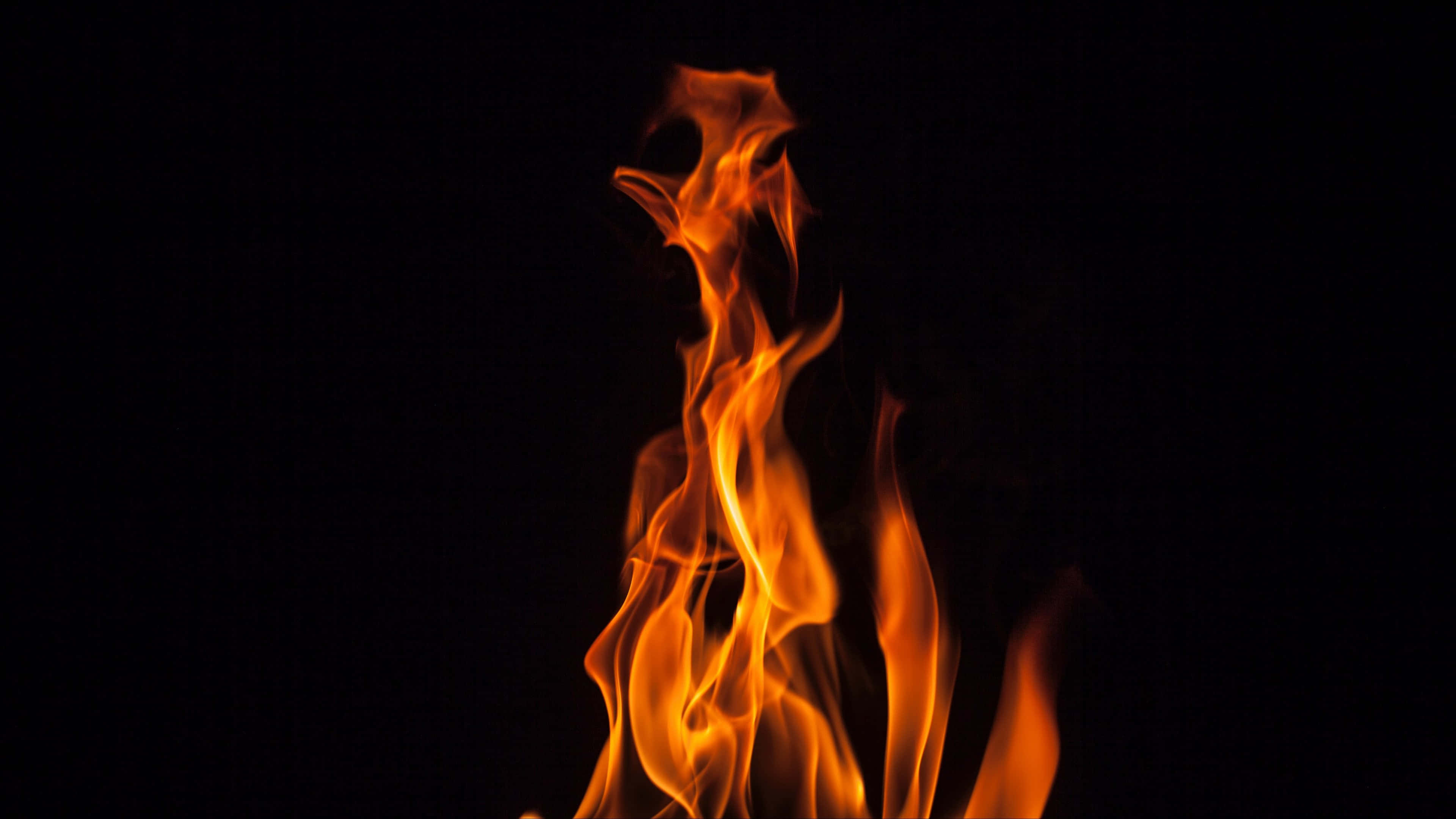 Flames 桌布 壁紙 — 鮮豔的橙色和黃色火焰在純黑色背景上動態升起，形成強烈對比。