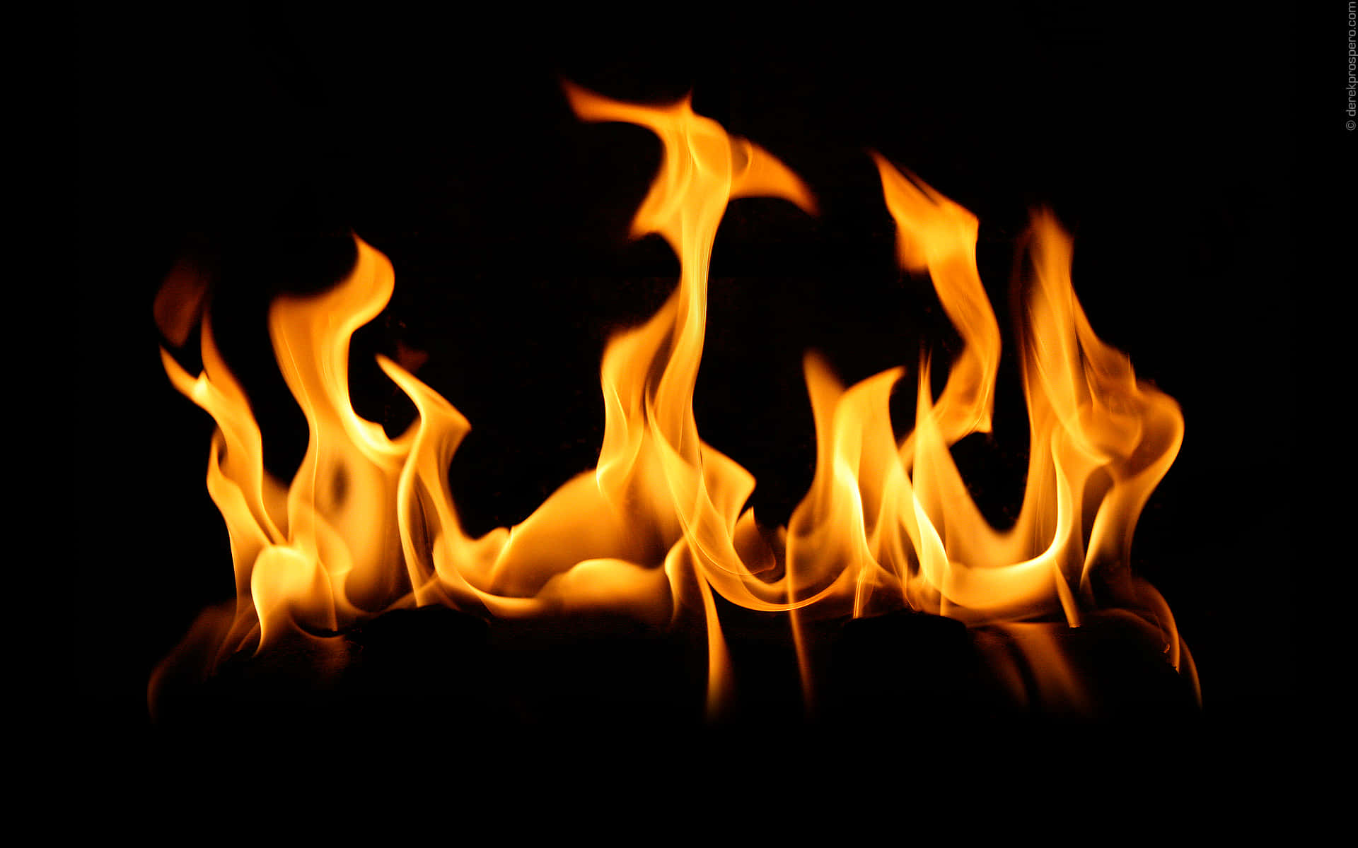 Flame 桌布 壁紙 — 鮮豔的橙色和黃色火焰在純黑色背景上動態舞動。