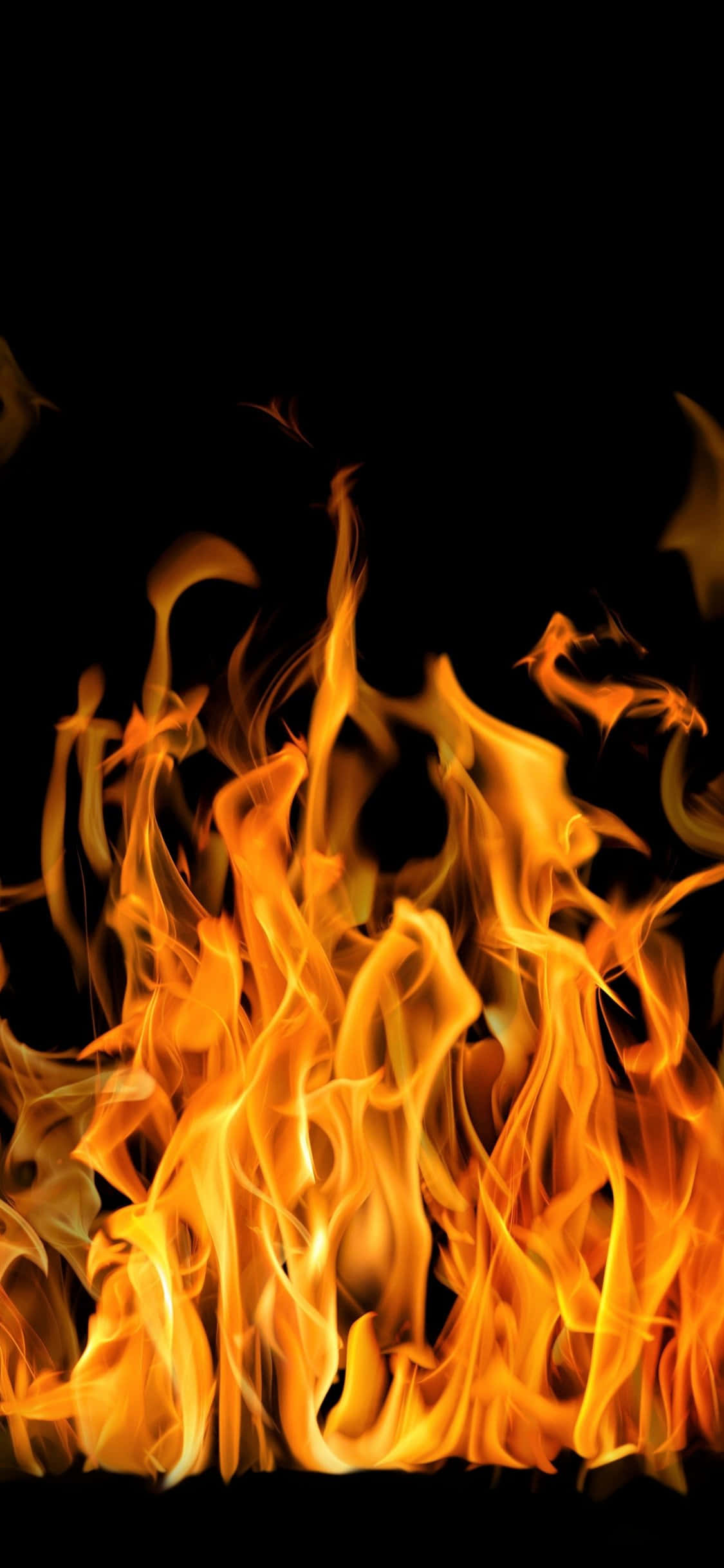 Flames 桌布 壁紙 — 鮮豔的橙色和黃色火焰在純黑色背景上動態舞動。