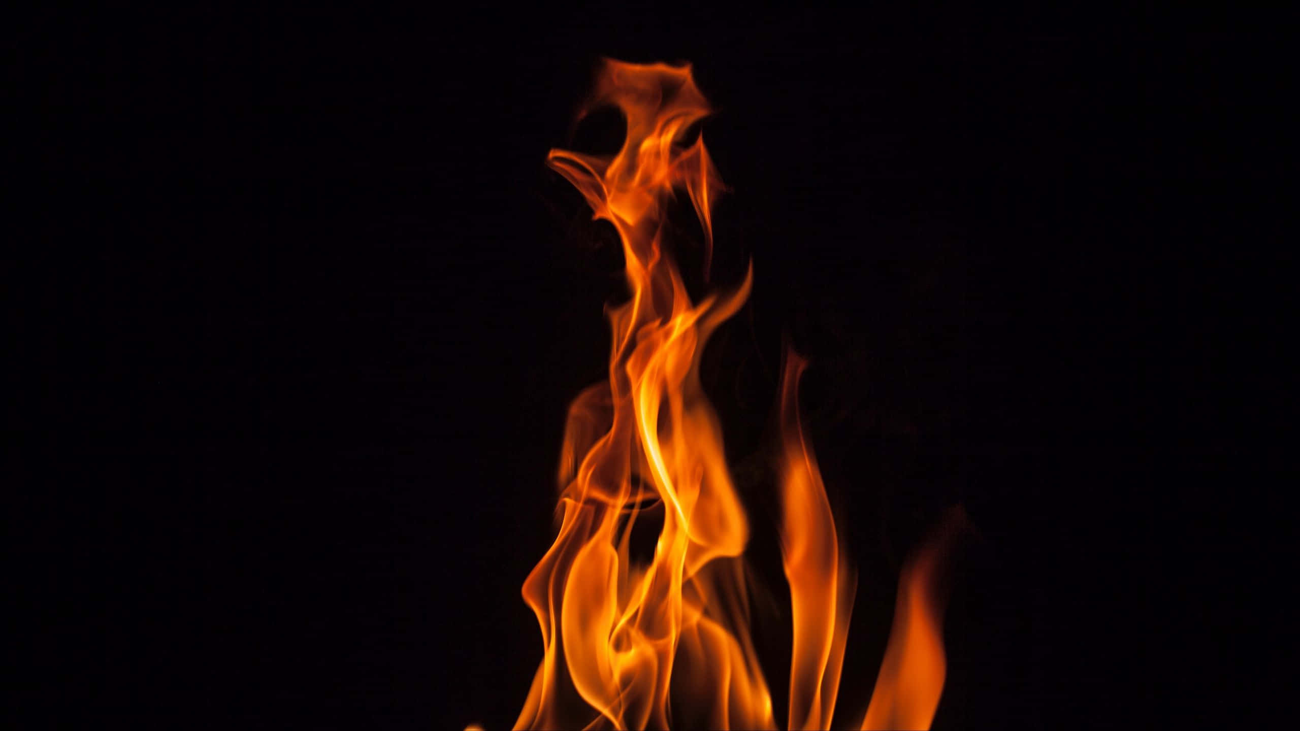 Burn 桌布 壁紙 — 鮮豔的橙色和黃色火焰在純黑色背景上動態升起，形成強烈對比。