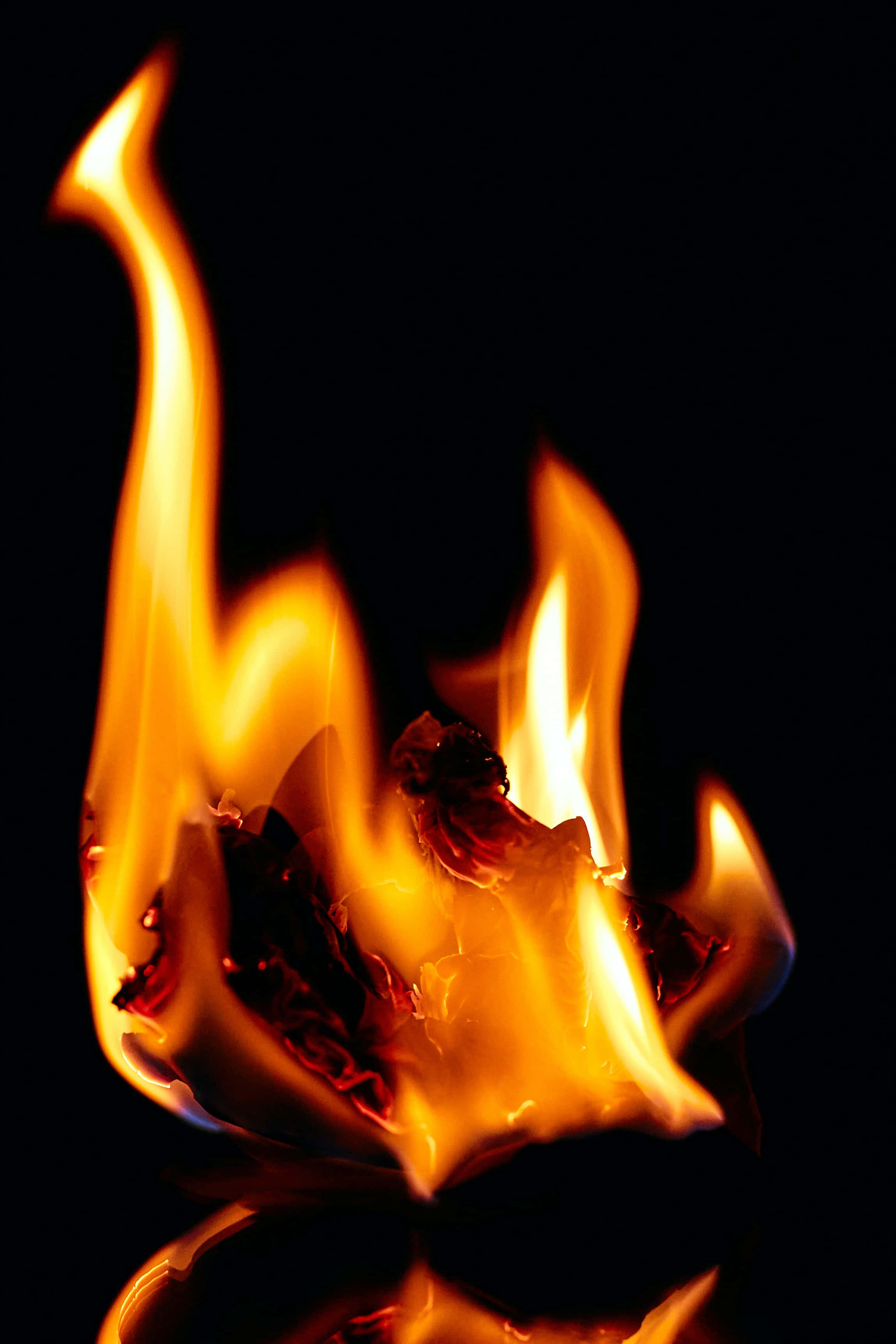 Flame 桌布 壁紙 — 鮮豔的橙色和黃色火焰在純黑色背景上舞動，底部有發光的餘燼。