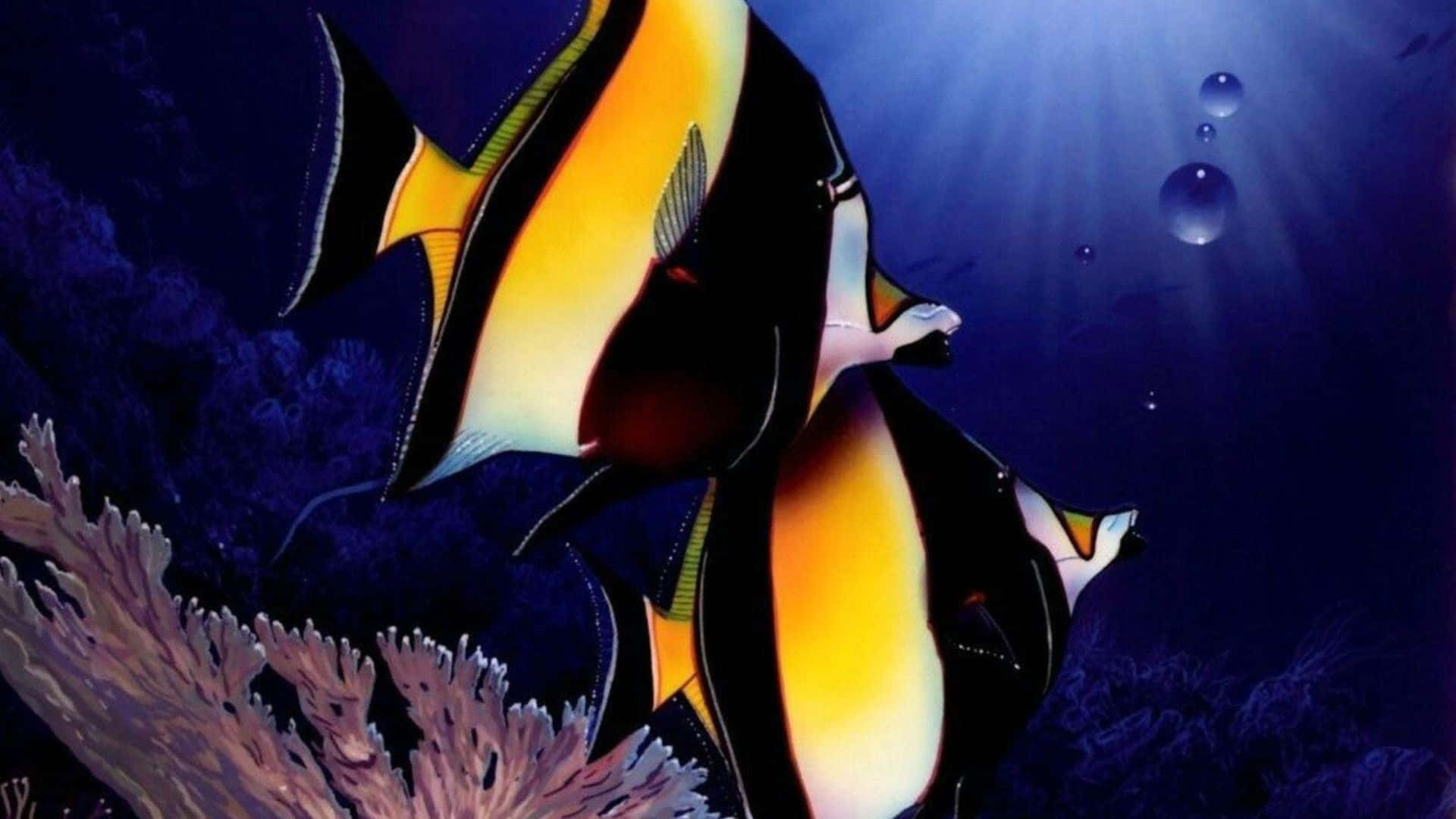 3d Fish 桌布 壁紙 — 鮮豔的橙色和黑色神仙魚在深藍色海洋光線下優雅地游過紫色珊瑚。