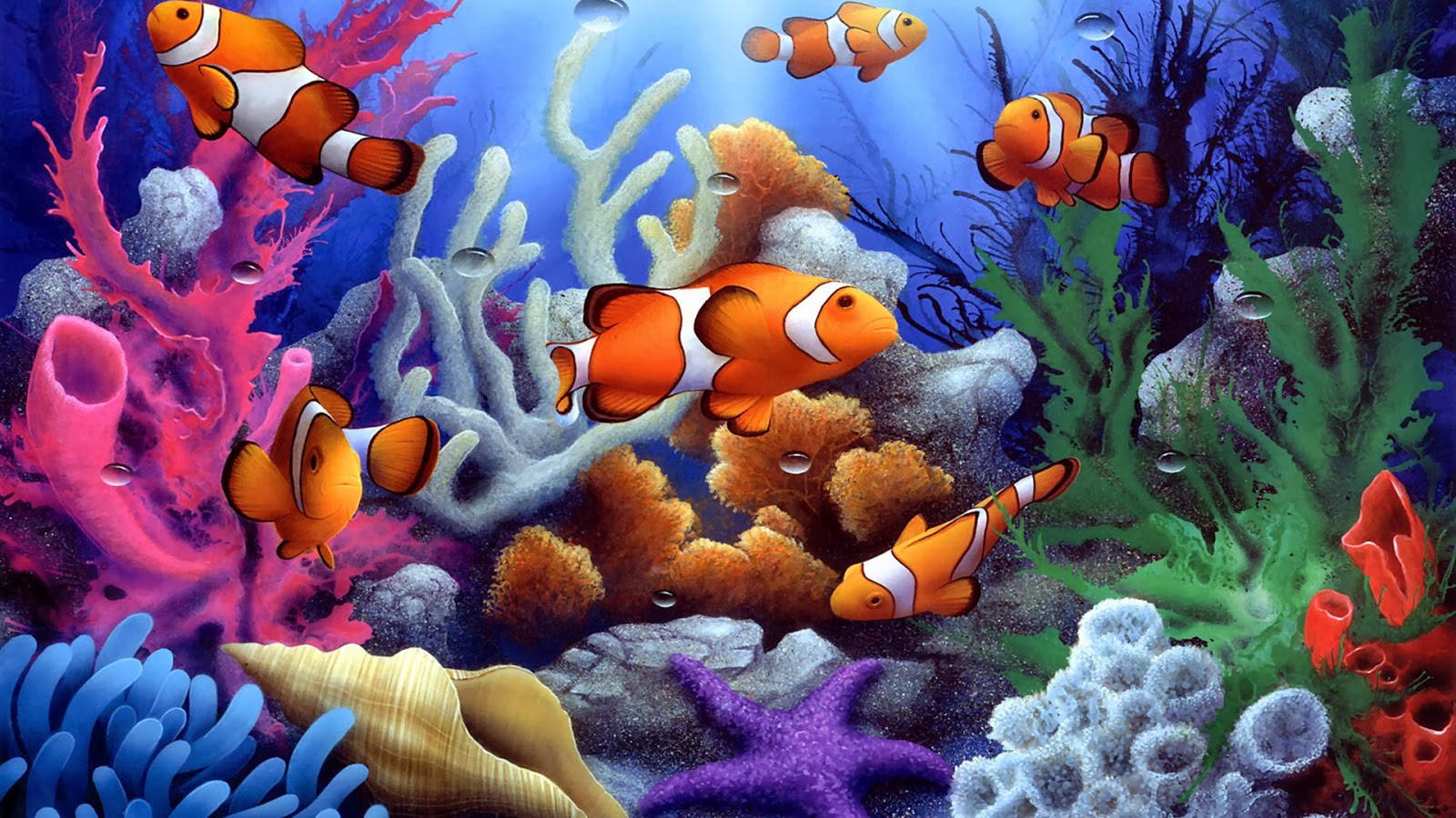 魚 桌布 壁紙 — 鮮豔的橙色小丑魚在色彩繽紛的珊瑚和海葵之間游動，呈現出充滿活力的海底場景。