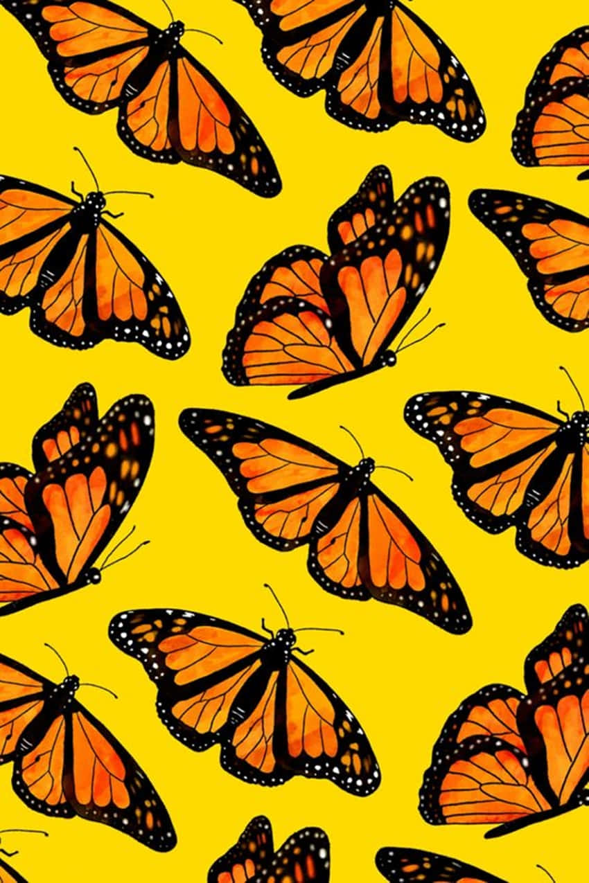 Butterflies 桌布 壁紙 — 鮮豔的橙色帝王蝶帶有黑色脈絡和白色斑點，在鮮黃色背景上以重複圖案飛舞。