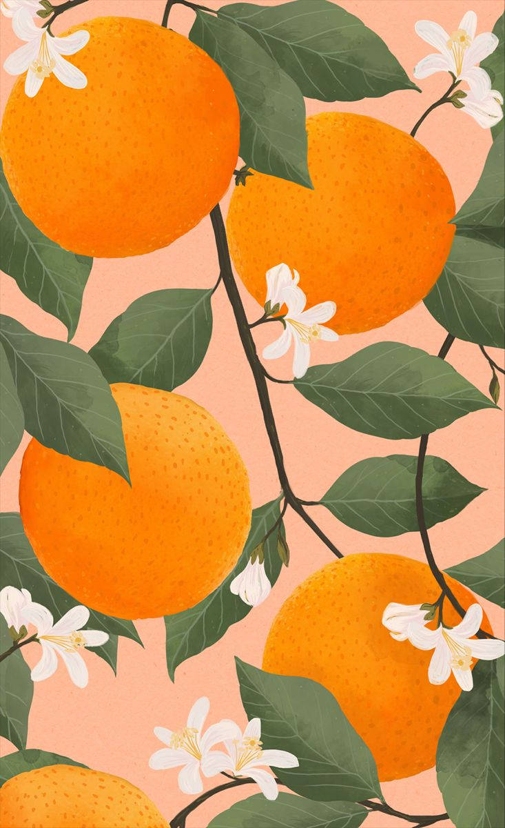 Fruit 桌布 壁紙 — 鮮豔的橙色果實和白色花朵掛在樹枝上，背景是柔和的桃色，以風格化的植物插圖呈現。