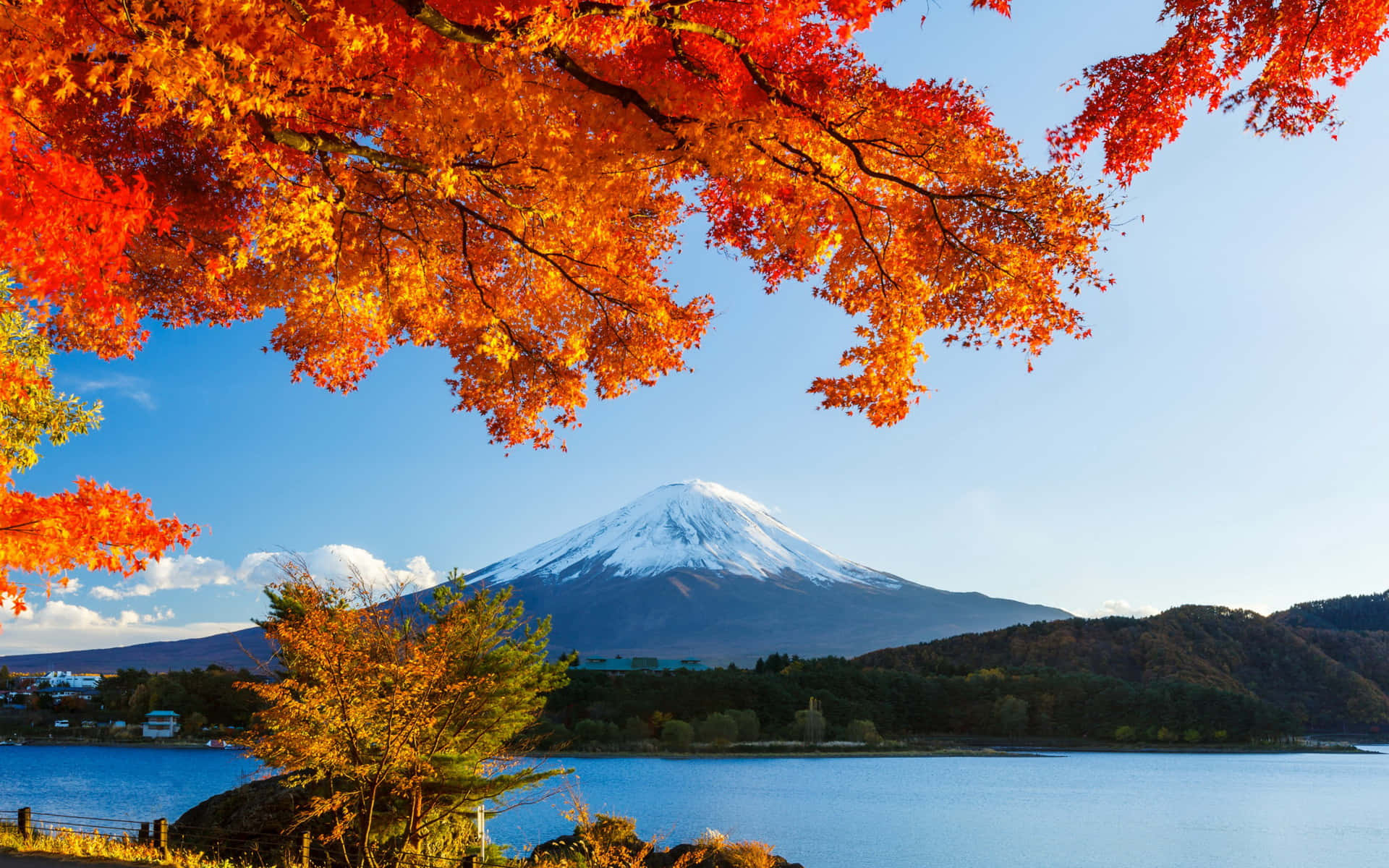 Mt Fuji 桌布 壁紙 — 鮮豔的橙色楓葉框住了在晴朗天空下平靜藍色湖中倒映的積雪富士山。