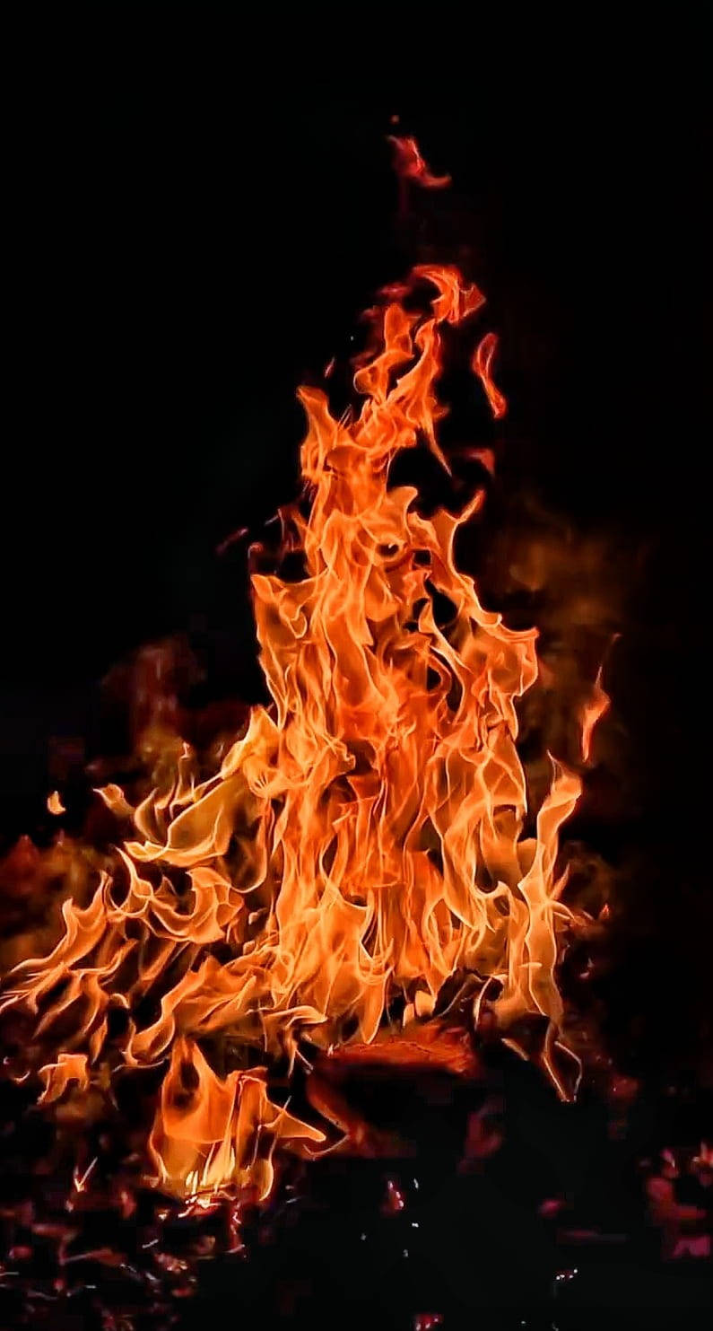 Red Fire 桌布 壁紙 — 鮮豔的橙色火焰在漆黑的背景下向上翻騰，營造出戲劇性且強烈的視覺效果。