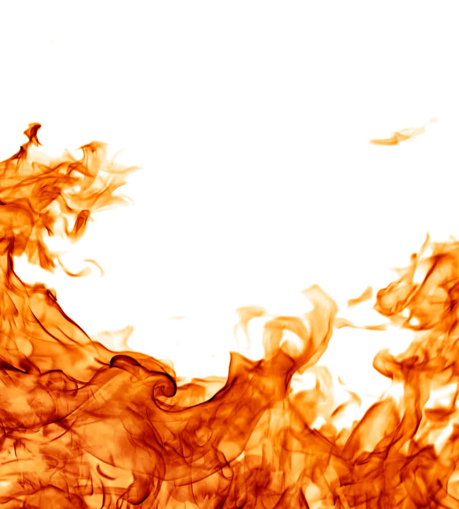 Flames 桌布 壁紙 — 鮮豔的橙色火焰在純白色背景上彎曲扭轉，營造出戲劇性的火焰邊框效果。
