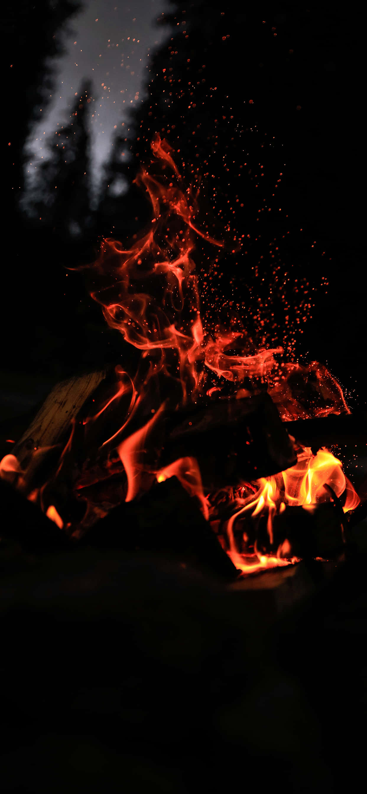 Flame 桌布 壁紙 — 鮮豔的橙色火焰在黑色夜空和隱約樹木剪影的背景中，於深色木柴上跳躍並發出劈啪聲。