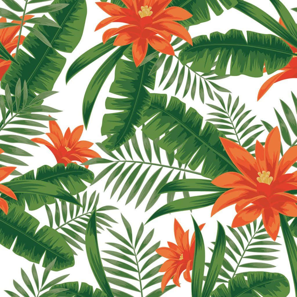 Tropical Aesthetic 桌布 壁紙 — 鮮豔的橙色熱帶花朵和茂盛的綠葉在潔白的背景上形成大膽的植物圖案。
