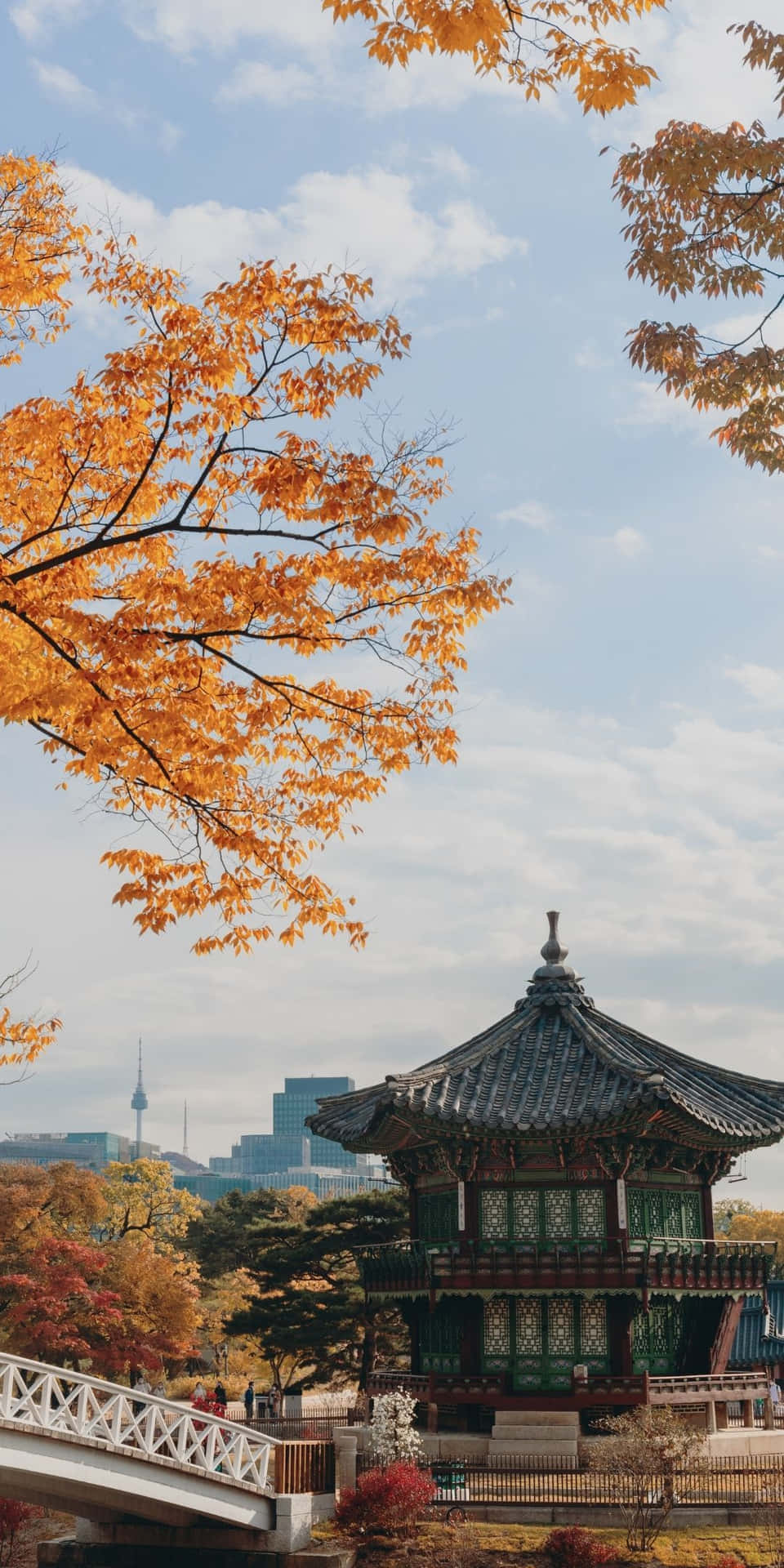 南韓 桌布 壁紙 — 鮮豔的橙色秋葉框住傳統韓國亭閣，背景是現代城市天際線，在柔和藍天下。