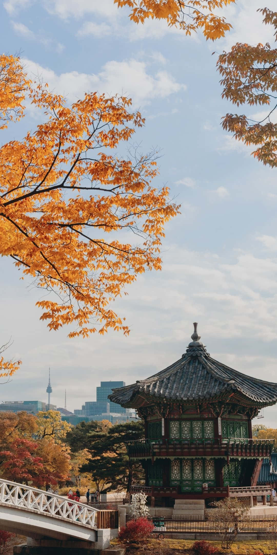 Android Autumn 桌布 壁紙 — 鮮豔的橙色秋葉框著傳統韓國亭閣，背景是現代城市天際線，在柔和藍天下。