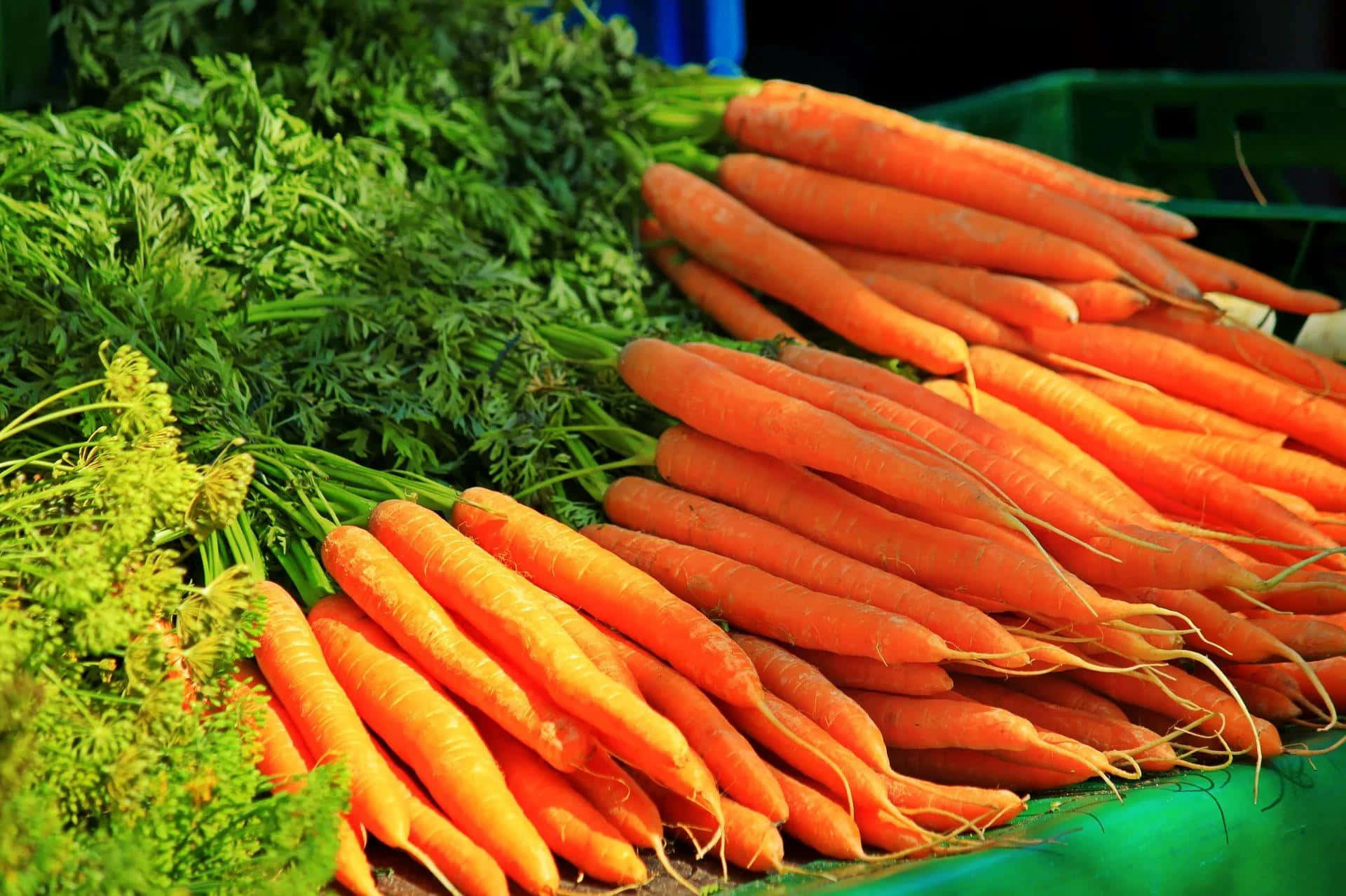 Carrot 桌布 壁紙 — 鮮豔的橙色胡蘿蔔帶著茂盛的綠色頂部，在明亮的陽光下新鮮堆放在市場的板條箱中。