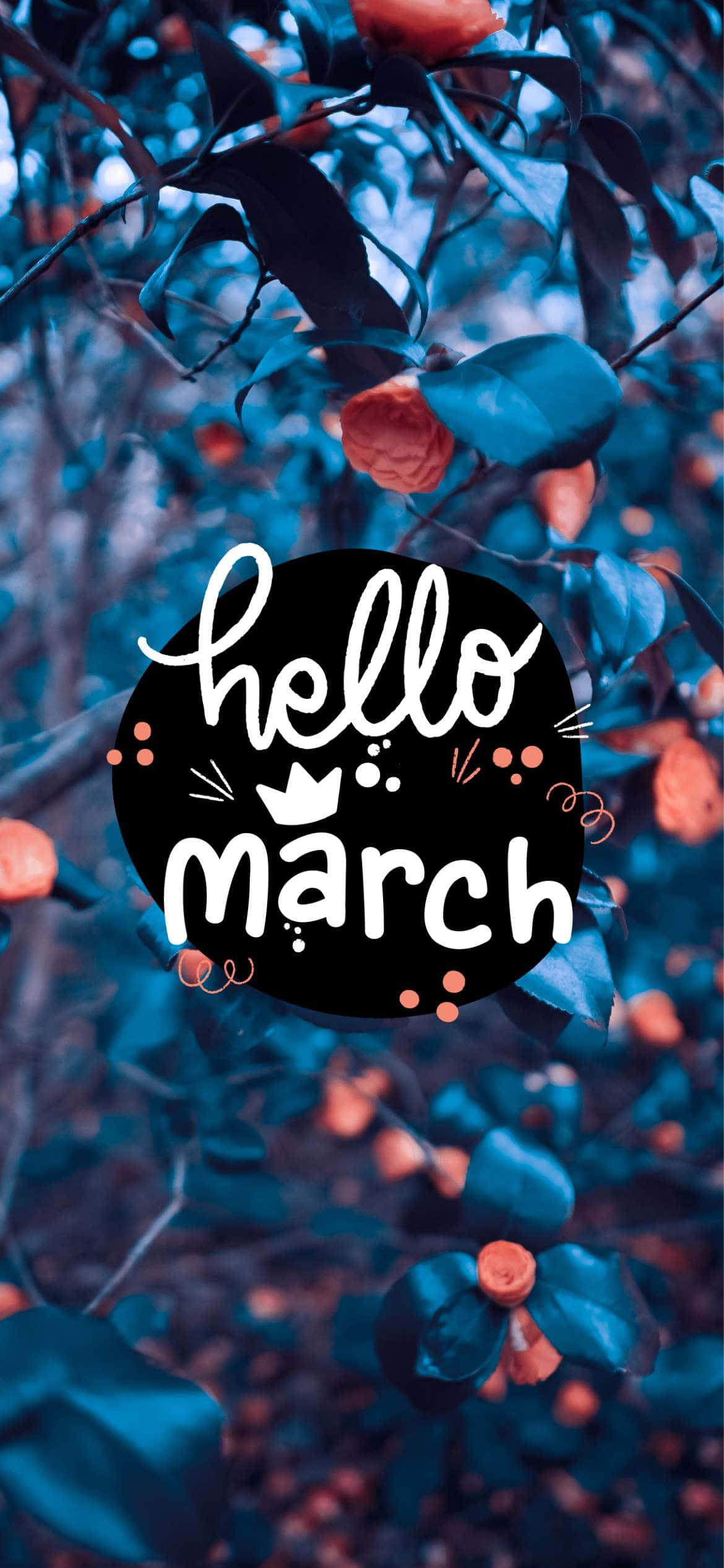 Hello March 桌布 壁紙 — 鮮豔的橙色花朵在深藍色葉子中盛開，帶有冷色調濾鏡和粗體「hello march」文字疊加。