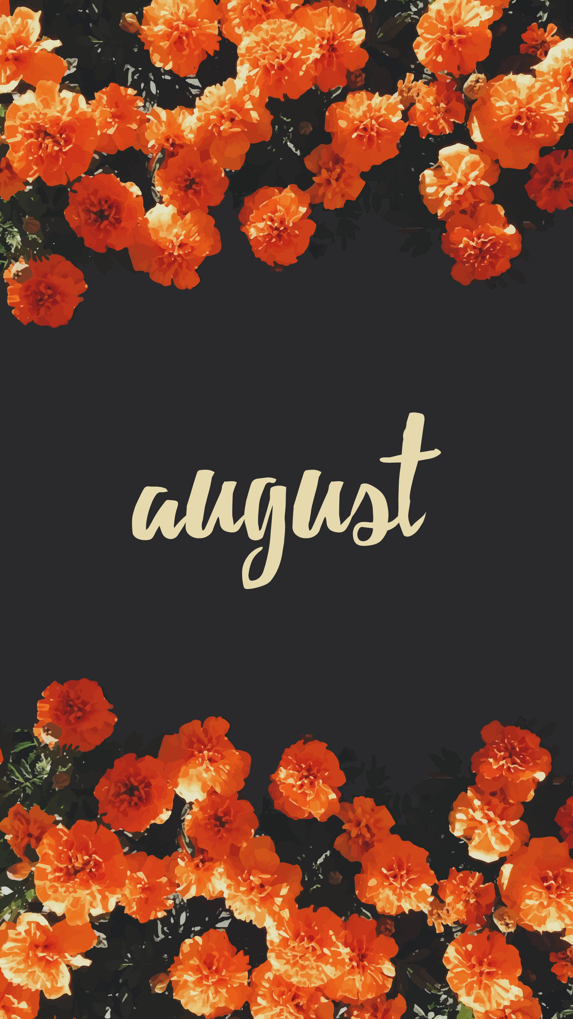 August 桌布 壁紙 — 鮮豔的橙色萬壽菊環繞著深色背景，並以優雅的金色字體寫上august一詞。
