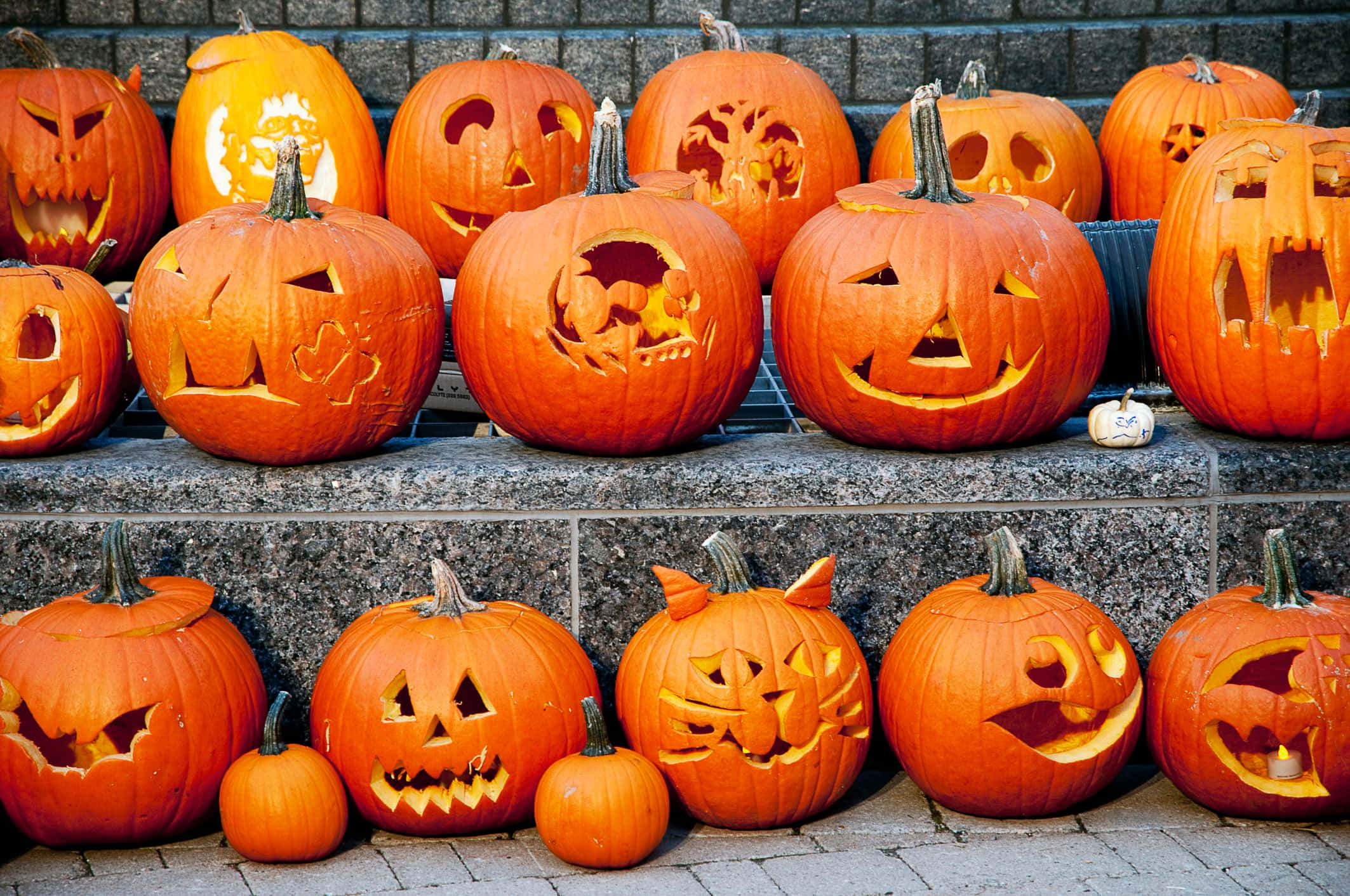 Jack O Lantern 桌布 壁紙 — 鮮豔的橙色萬聖節南瓜雕刻著詭異的臉孔，在灰色石牆上溫暖地發光。