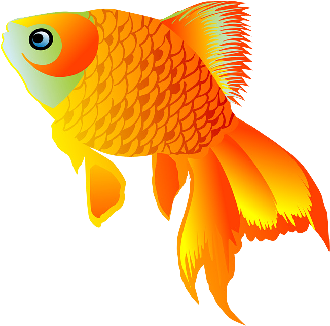 金魚 桌布 壁紙 — 鮮豔的橙色金魚，帶有細緻的鱗片和飄逸的魚鰭，在純黑色背景下游動。