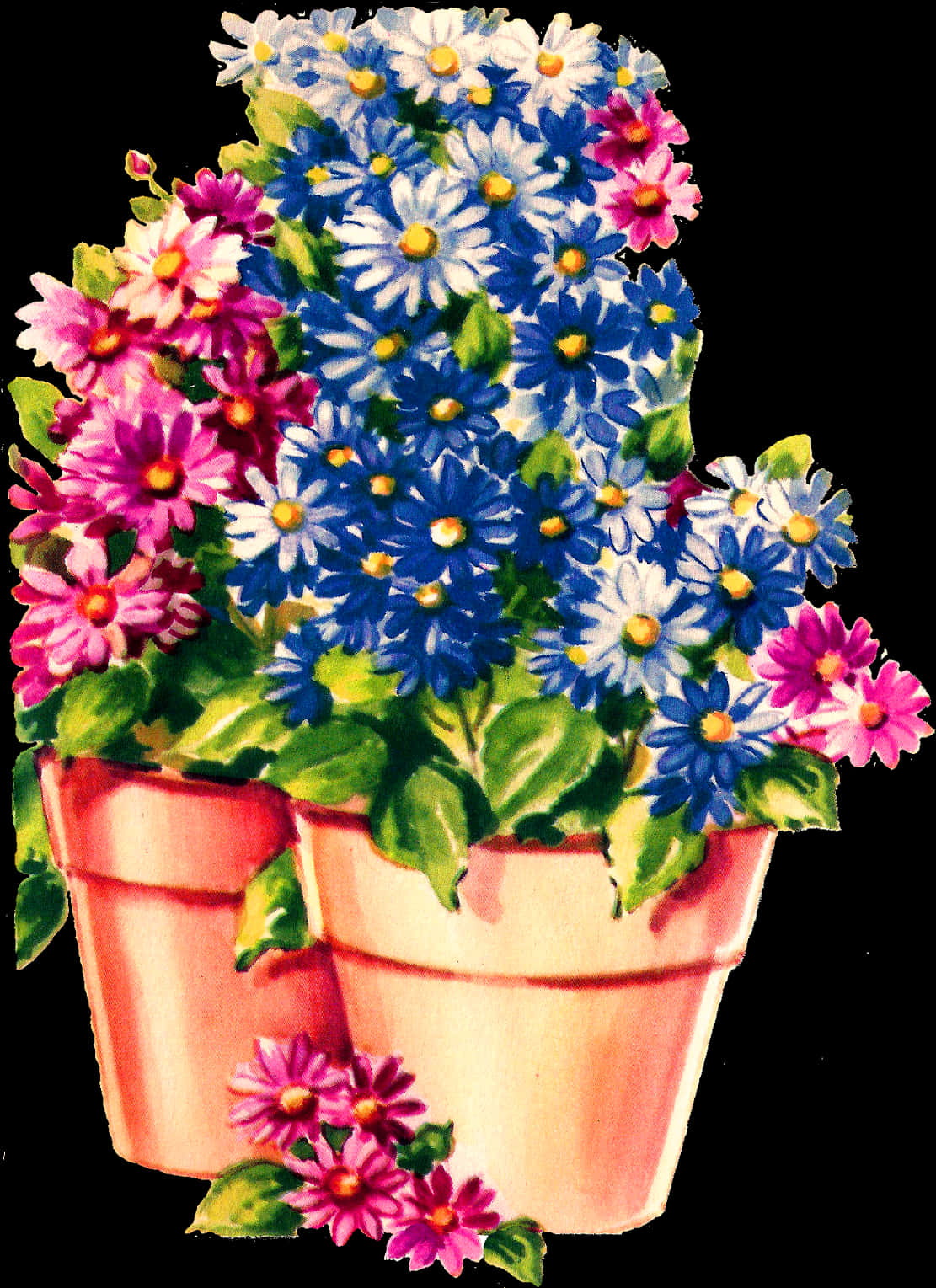Potted Plant 桌布 壁紙 — 鮮豔的水彩插圖，兩個陶盆中滿溢著藍色、白色和粉紅色的雛菊，背景是純黑色。
